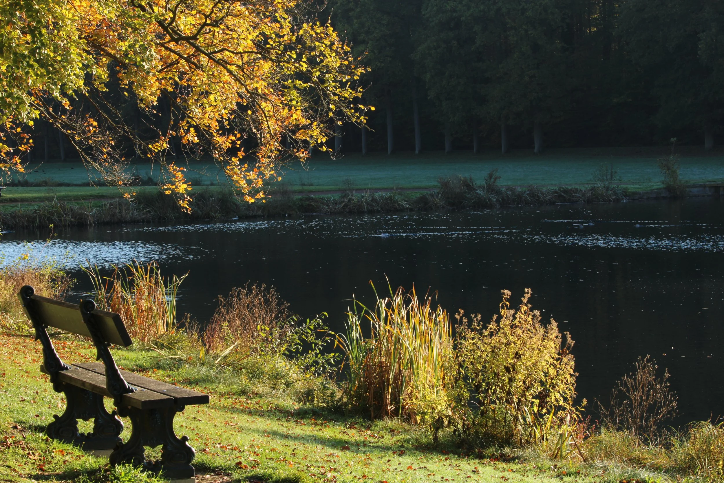 Marijke Couder-landschap
