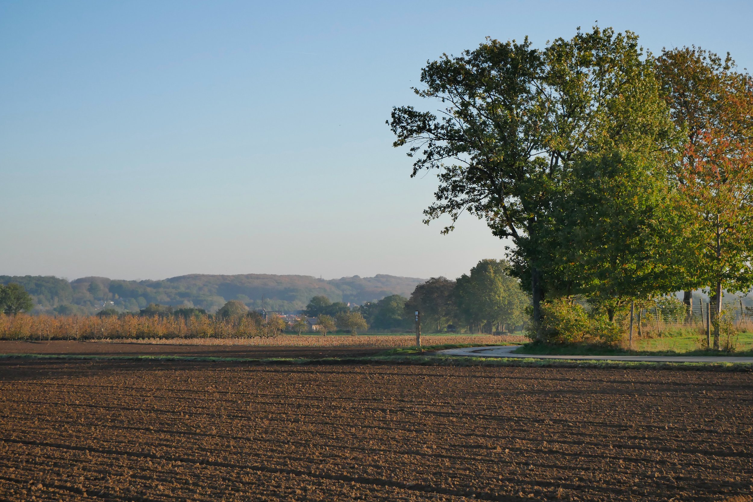 Dirk Kemps-landschap