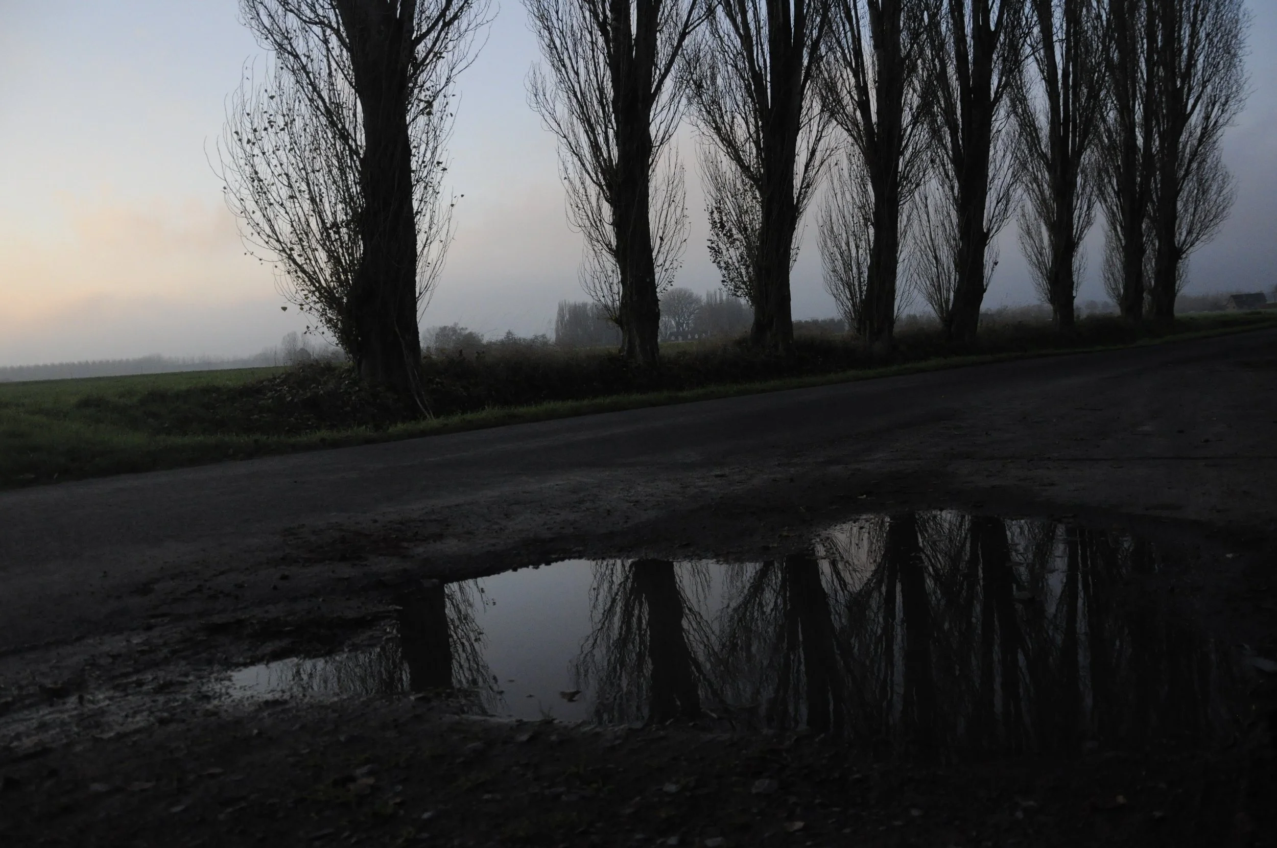 Miloud Dewilde-landschap