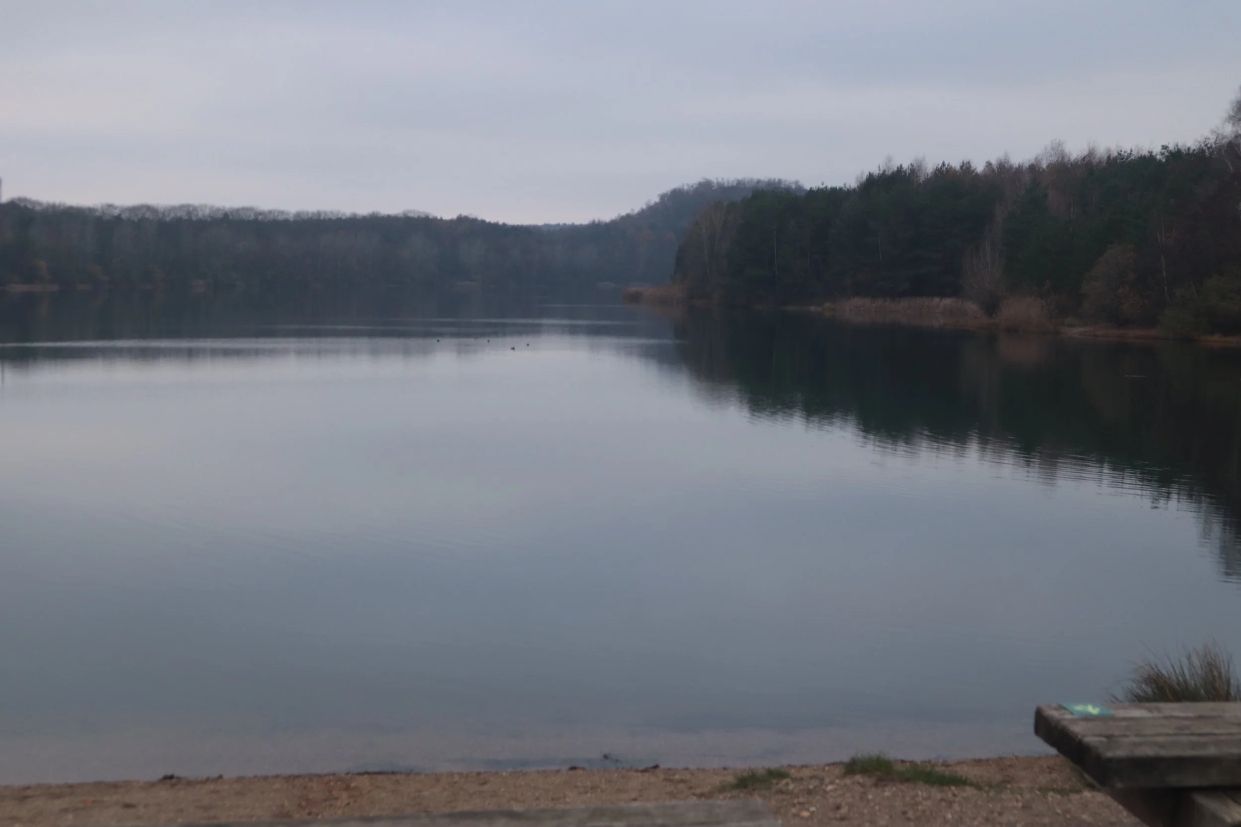 Sara Van Wassenhove-landschap