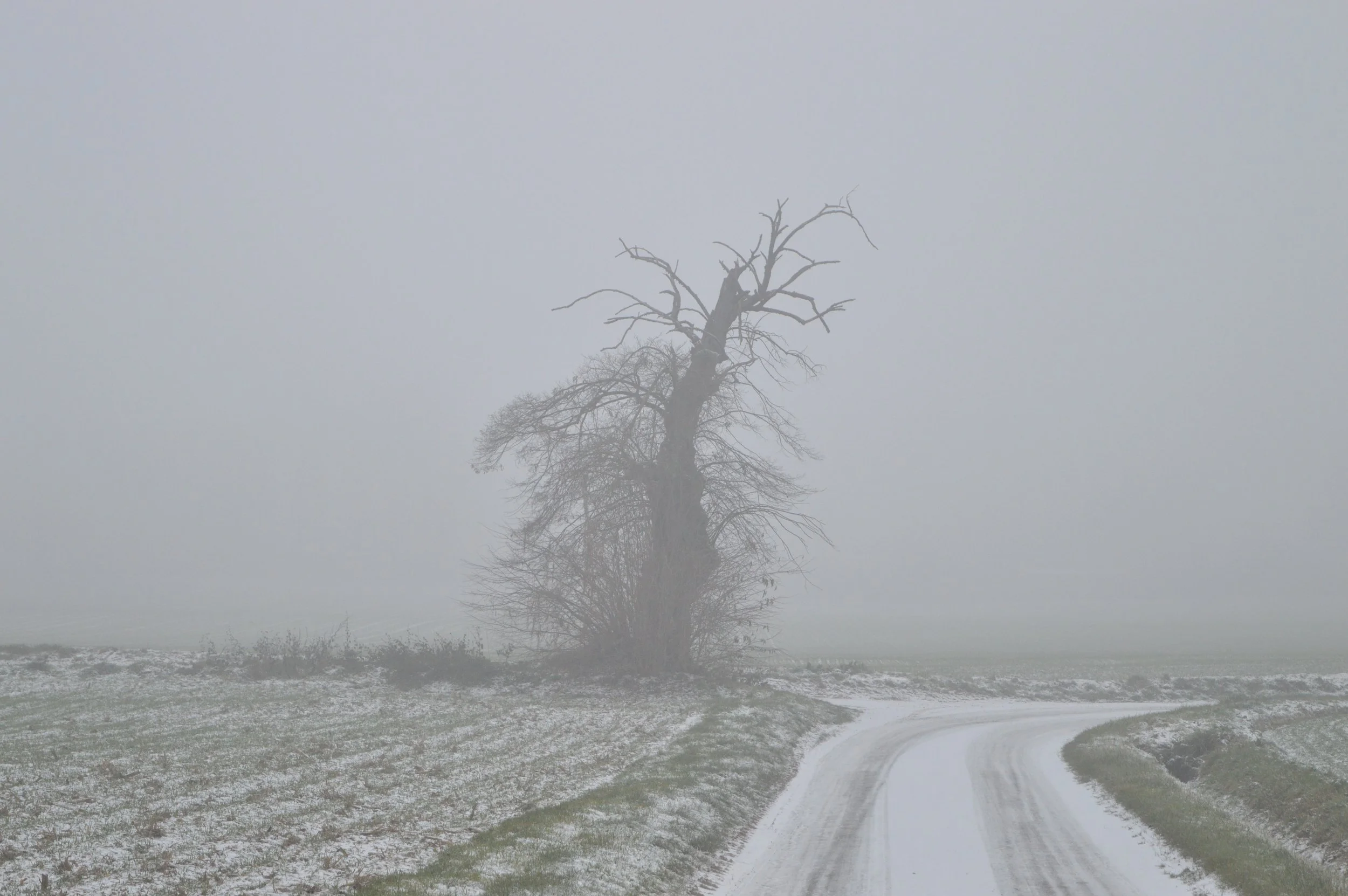 Ingrid Decoster-landschap