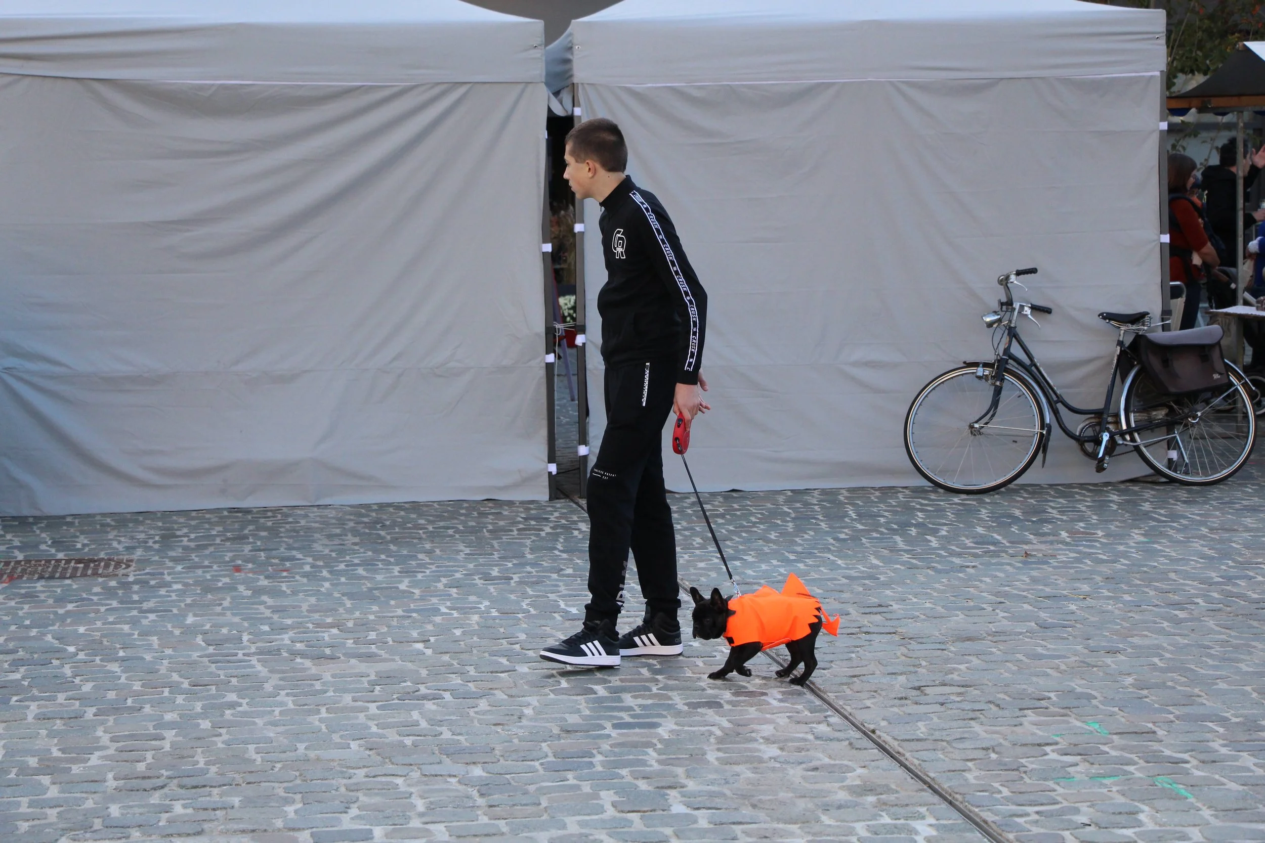 inge swartenbroekx-kleur