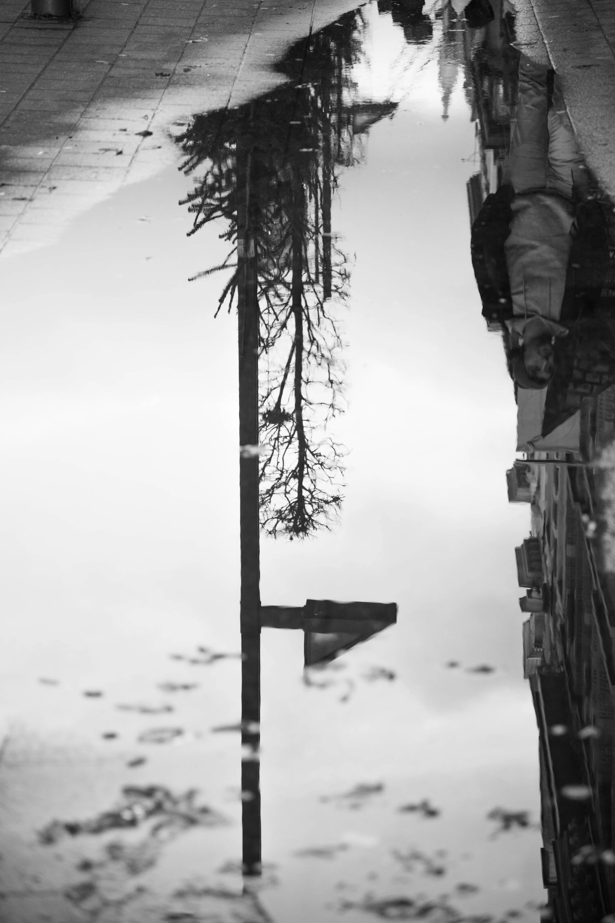 Shan Dupuis-reflectie