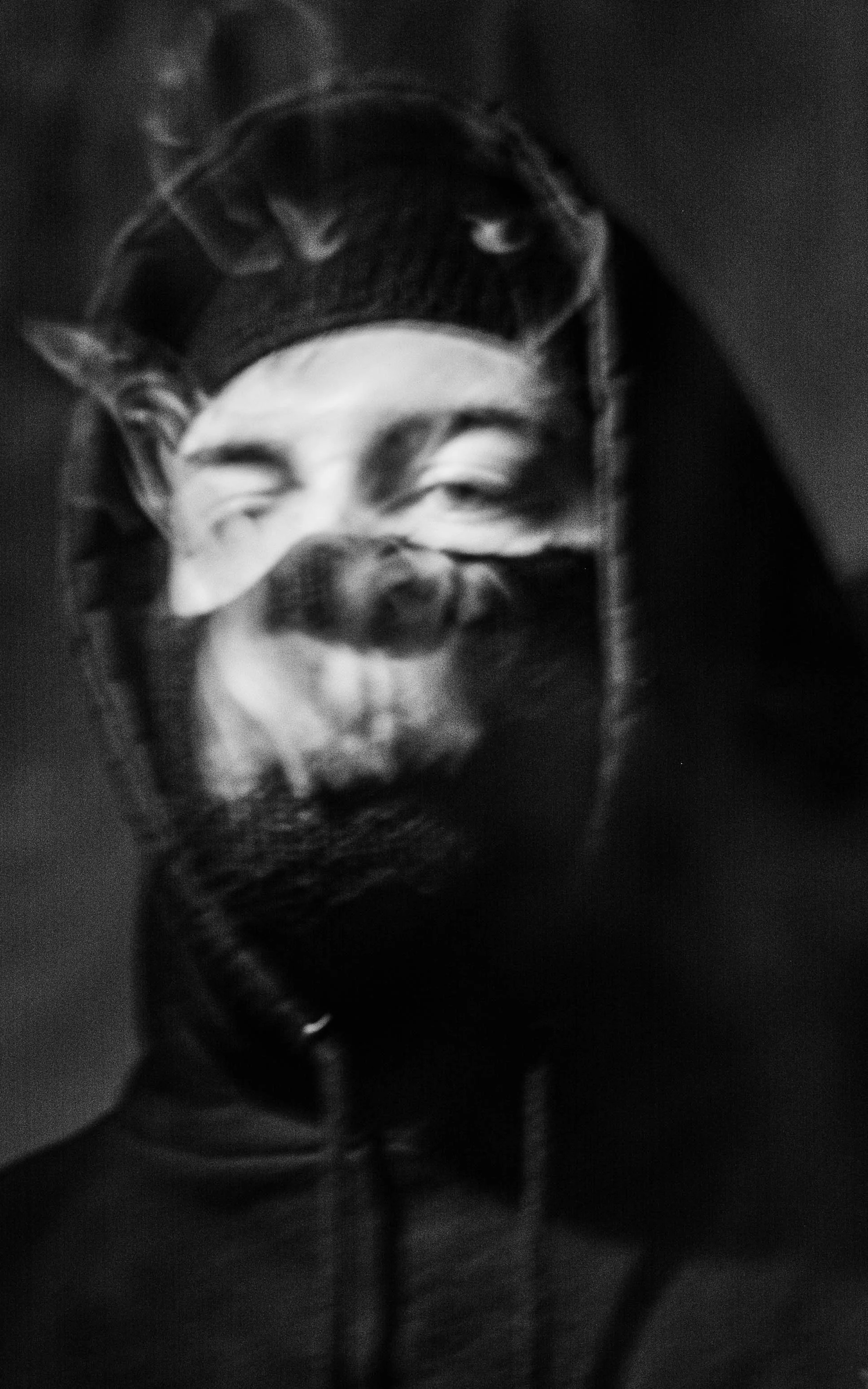 Shan Dupuis-Vrij werk