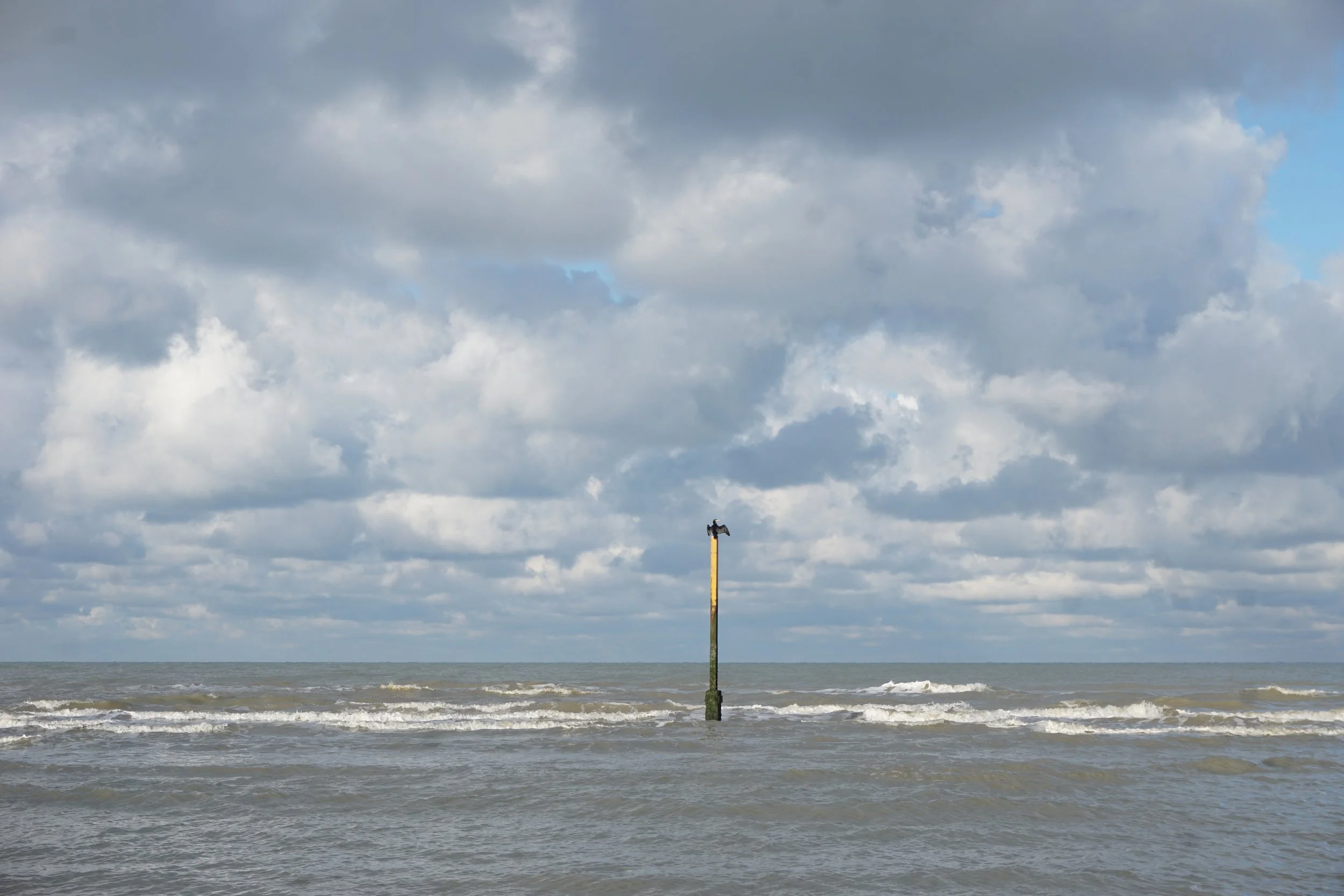 Els Vertongen-landschap