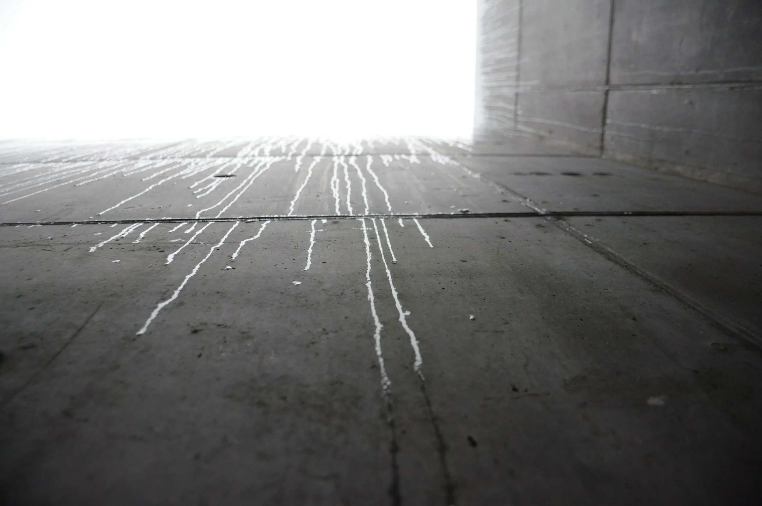 Irene Verdiesen-licht