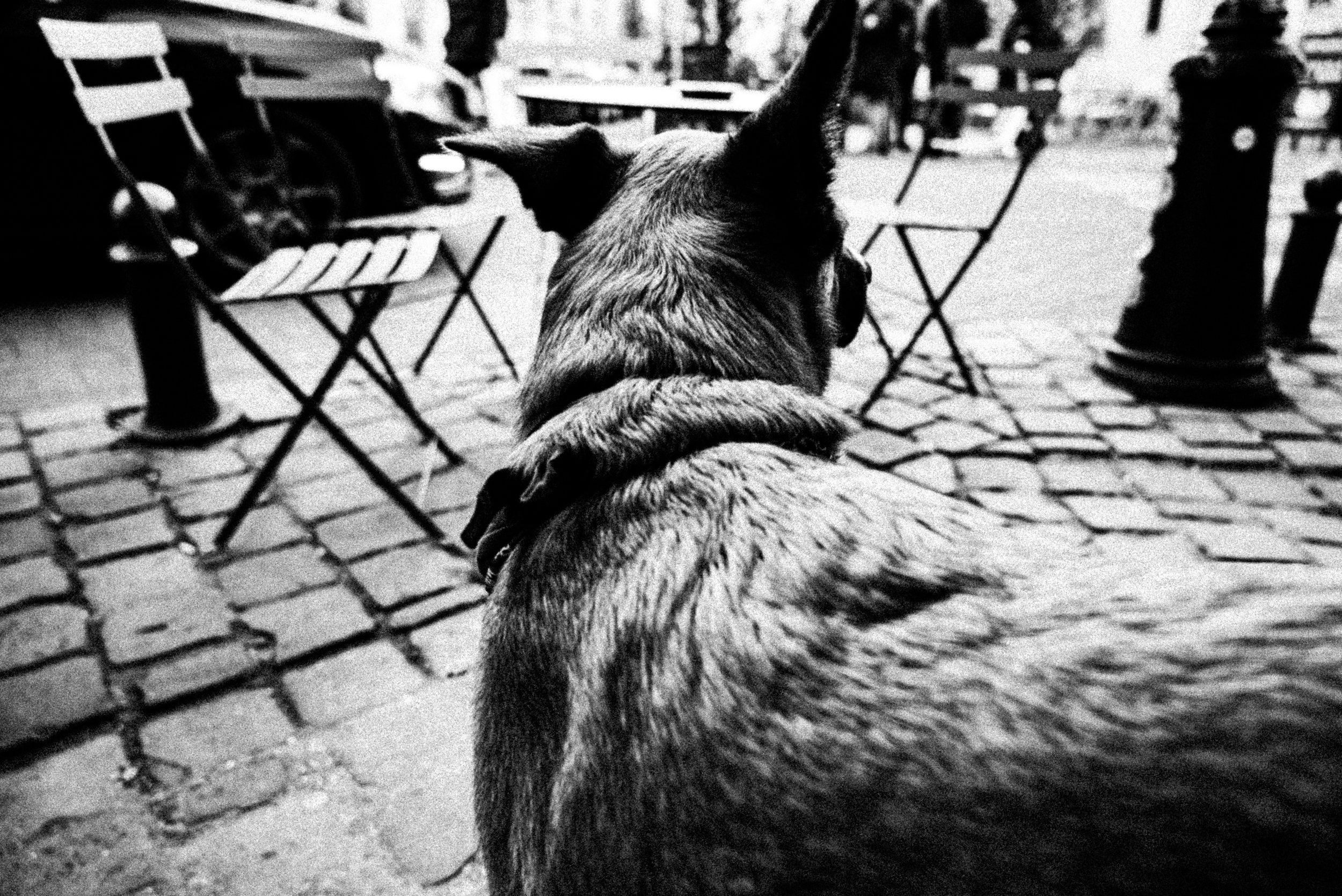 MarijkePellens_Street_Moriyama