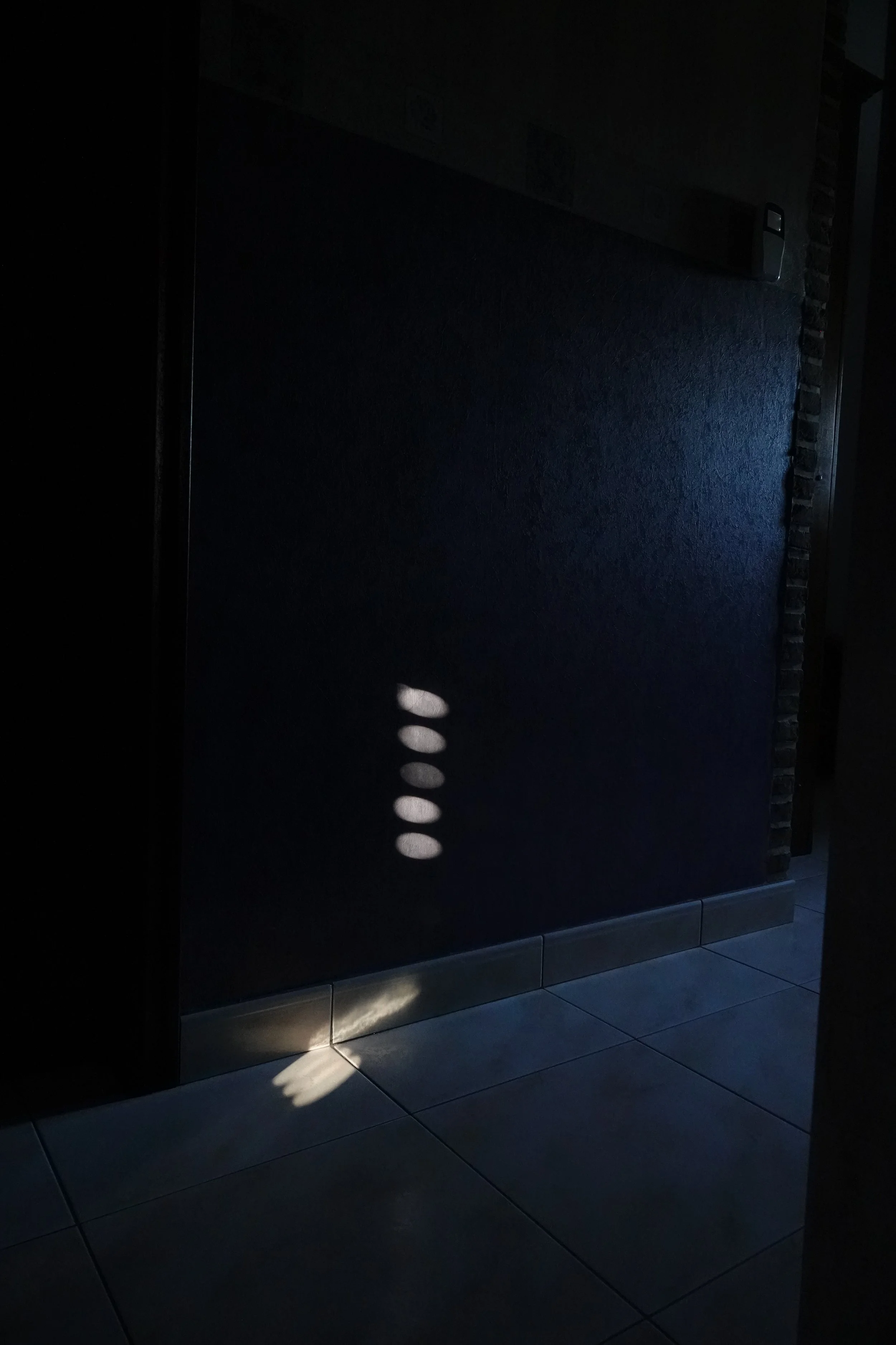 Tilly Van de Gaer-Licht