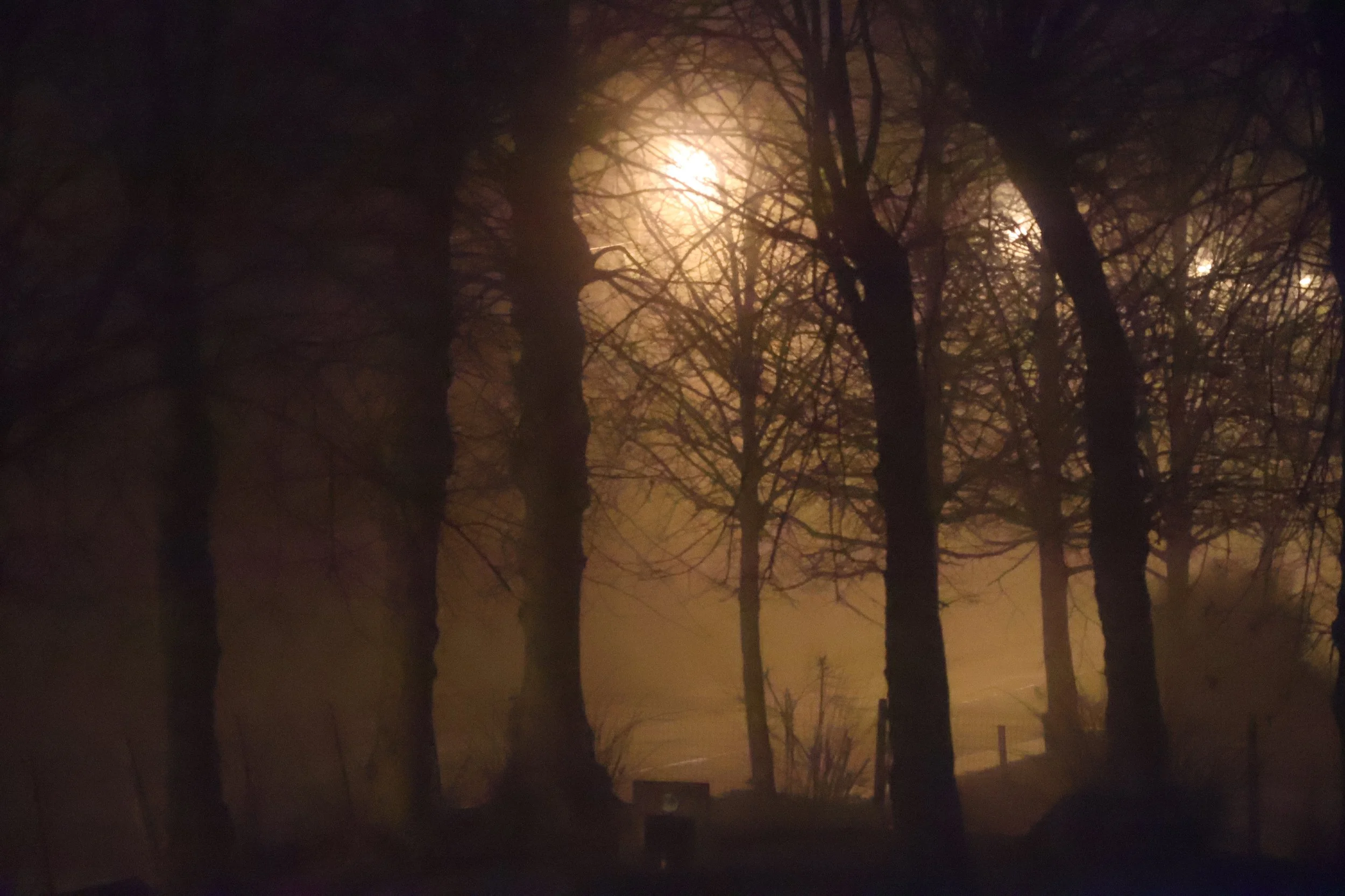 Jeroen Sterckx-Licht