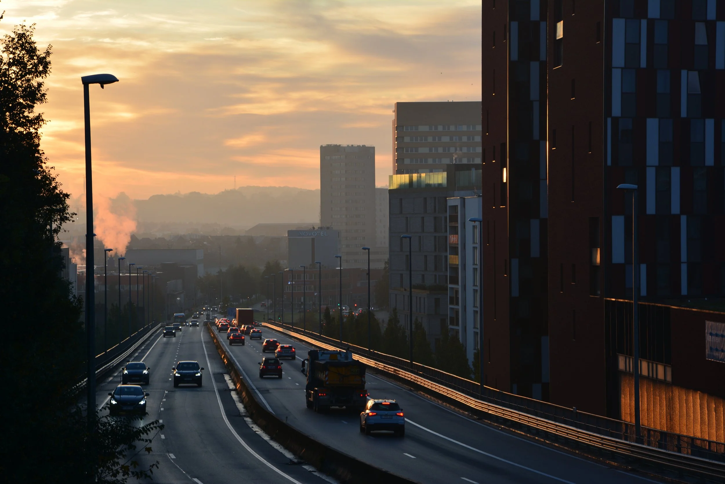 Caro Scheepmans-Landschap