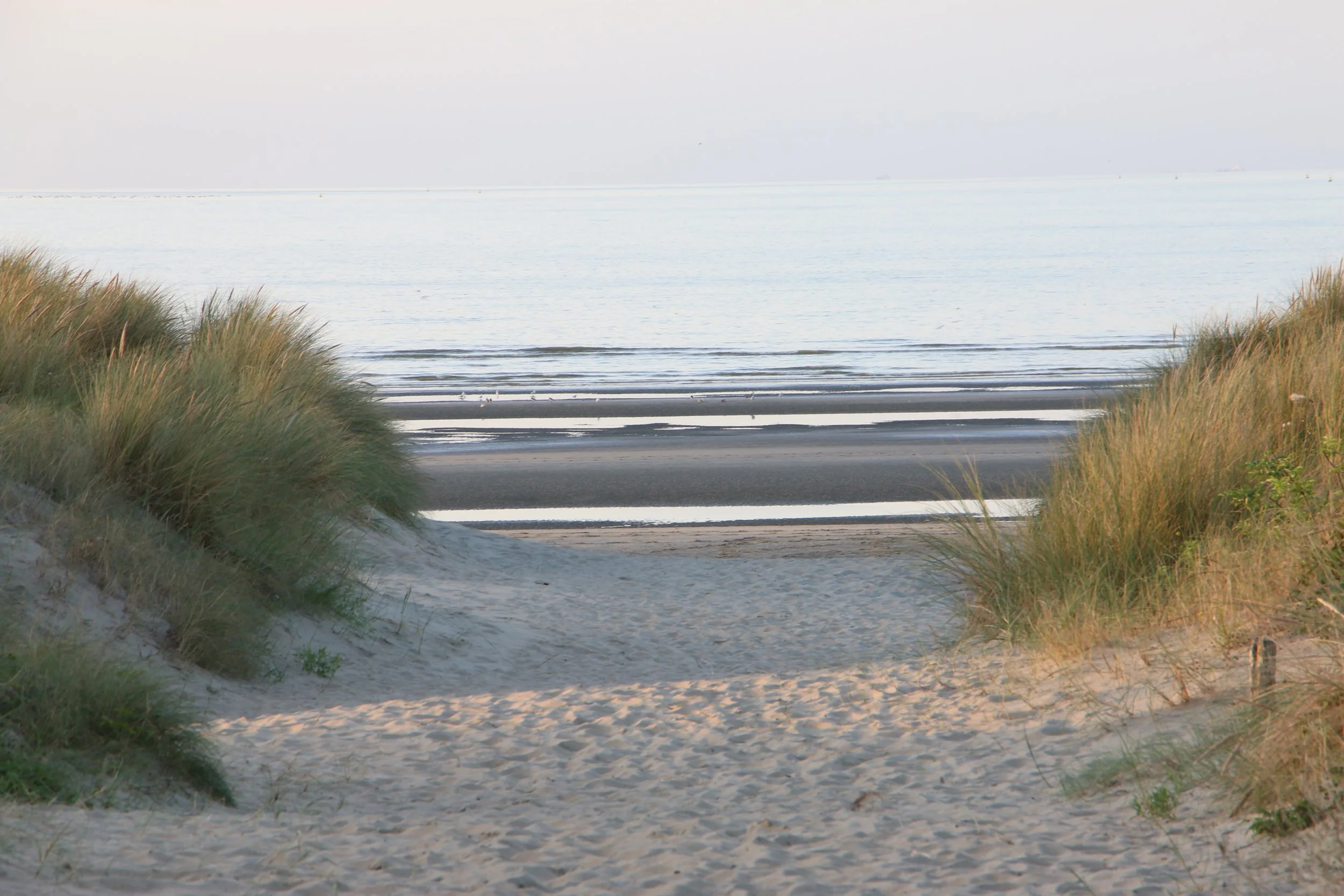 Magda Sabbe-landschap