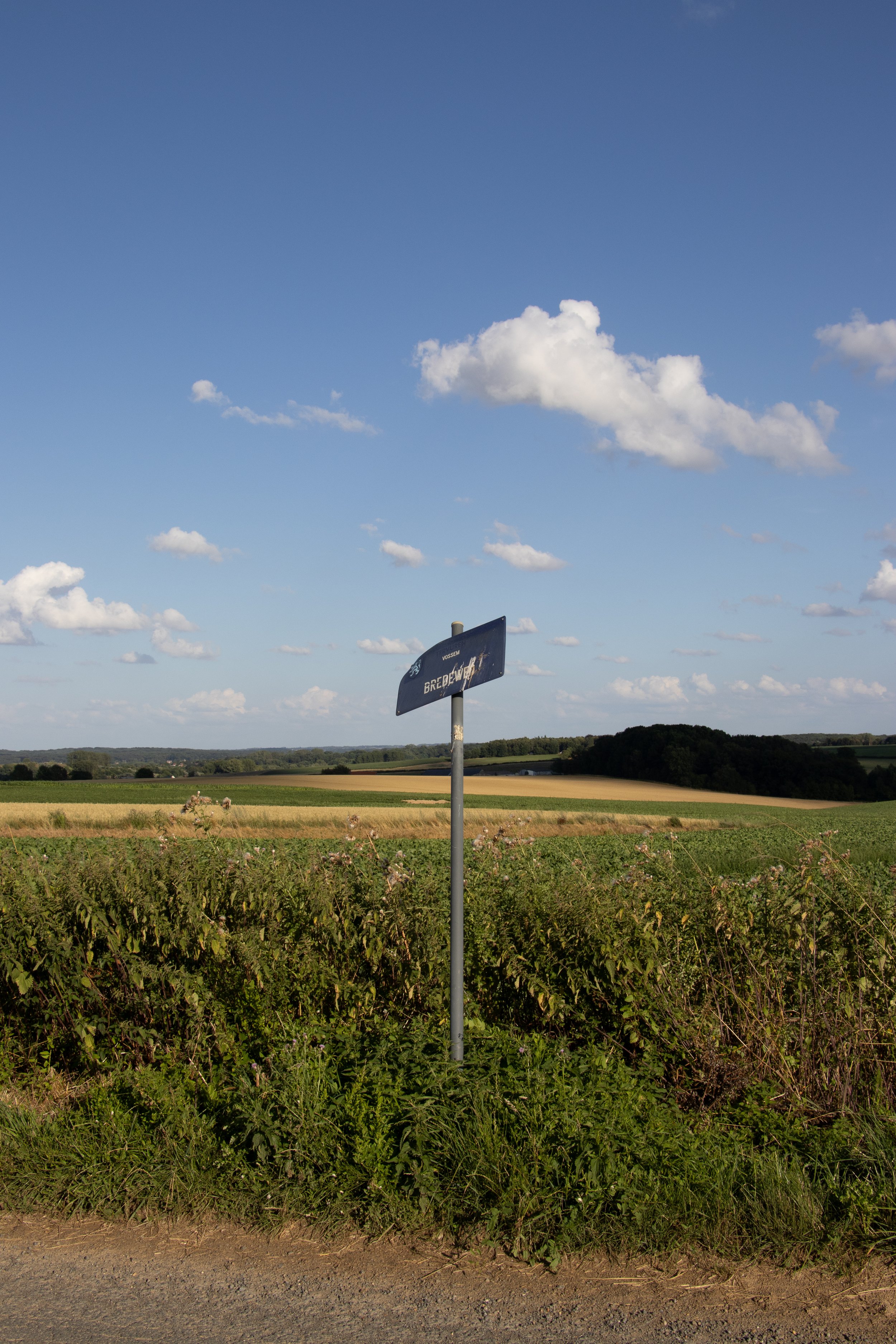 Walter Cordemans-landschap