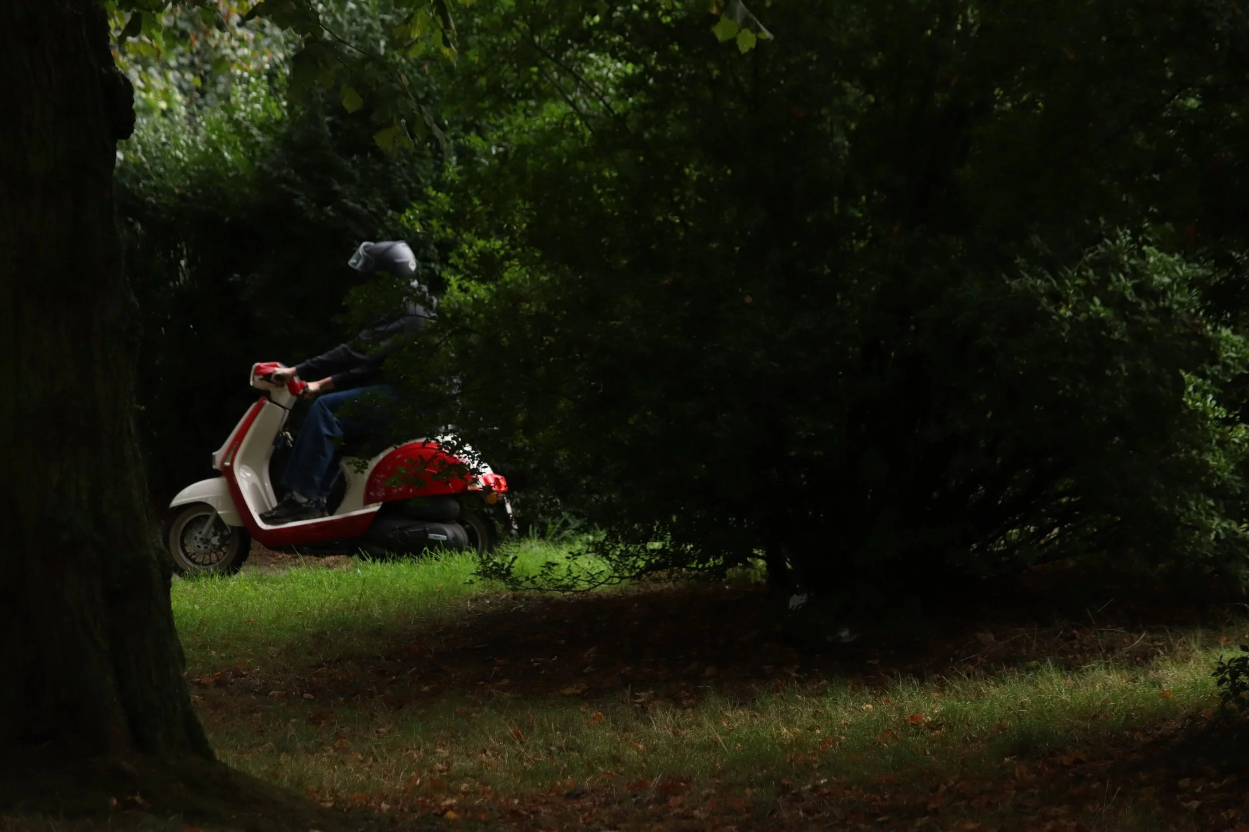 Geert Van Hulle_Kleur1.JPG