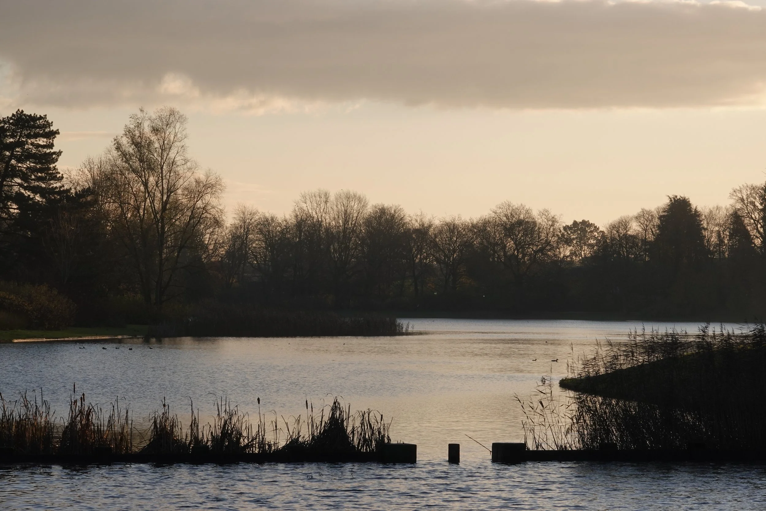 Carine Bormans_Landschap2.JPG