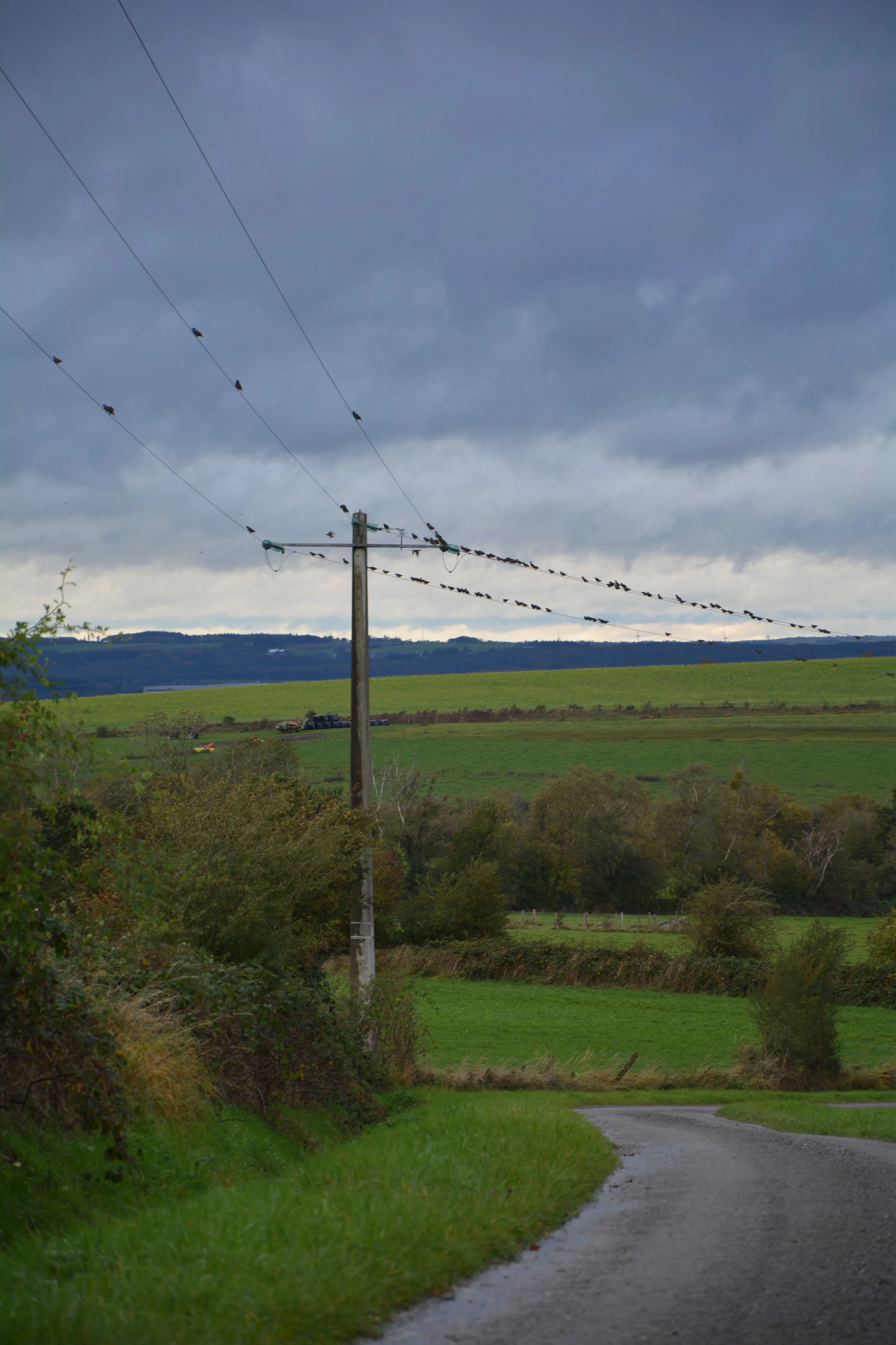 Eva Bastijns Landschap 1.JPG