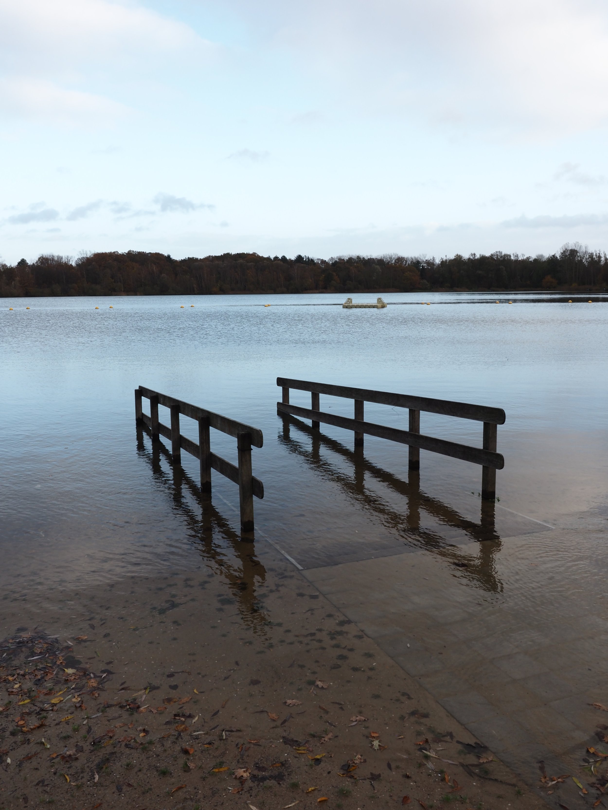Lode Feys Landschap 2.JPG