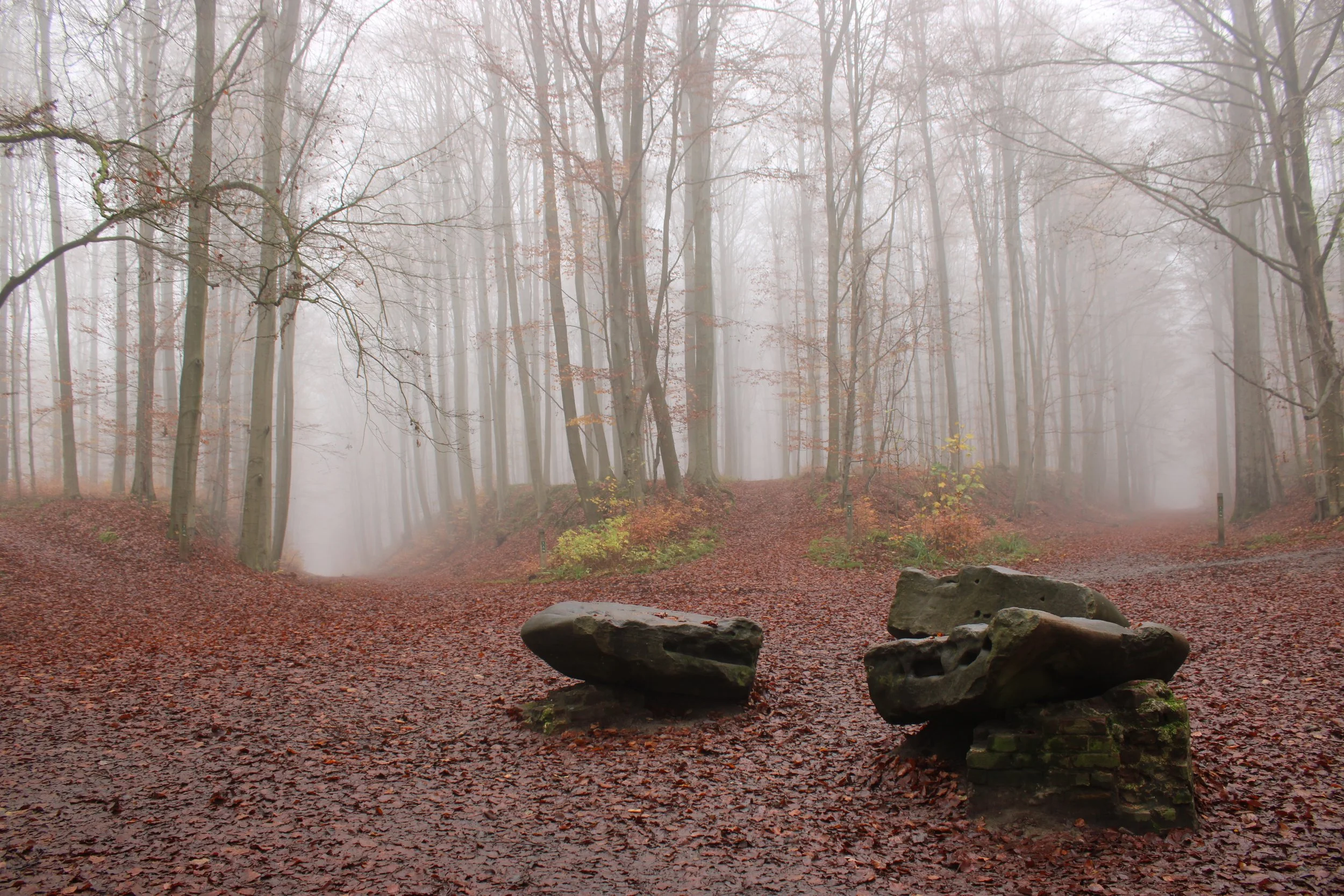 Roland Craps_Landschap1.JPG