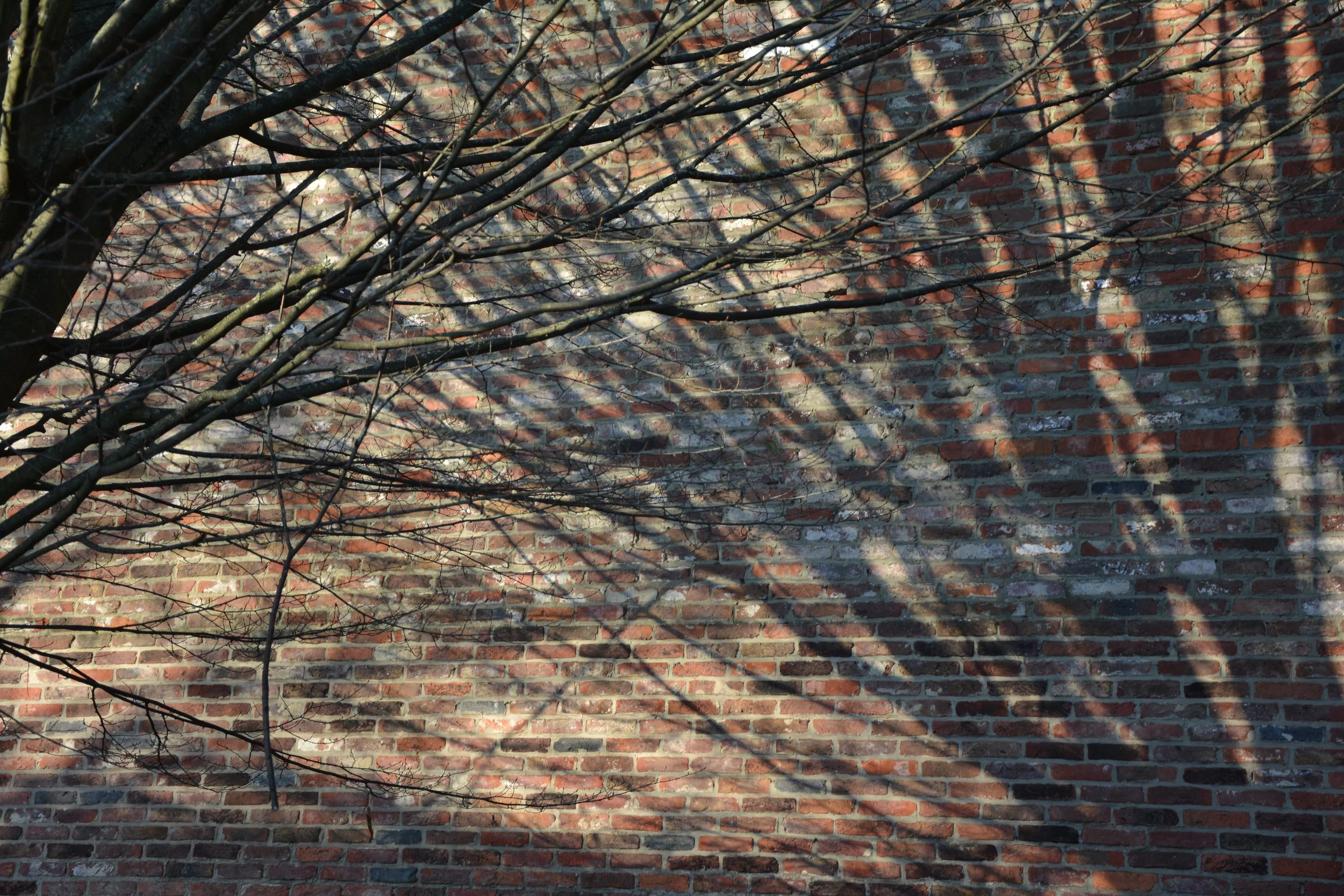 Eva Bastijns Licht 1.JPG