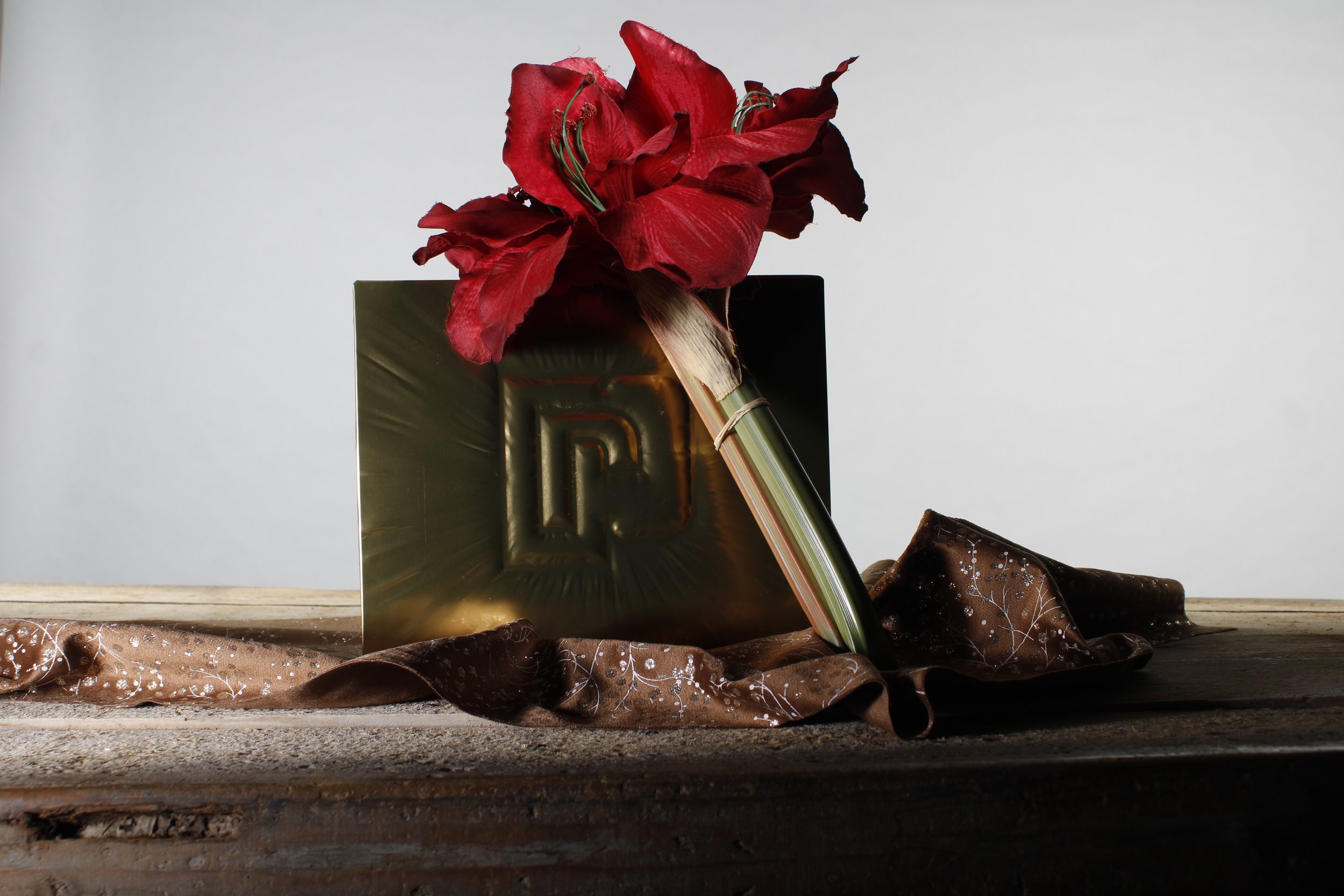 Brent Janssens-onderwerp witte achtergrond