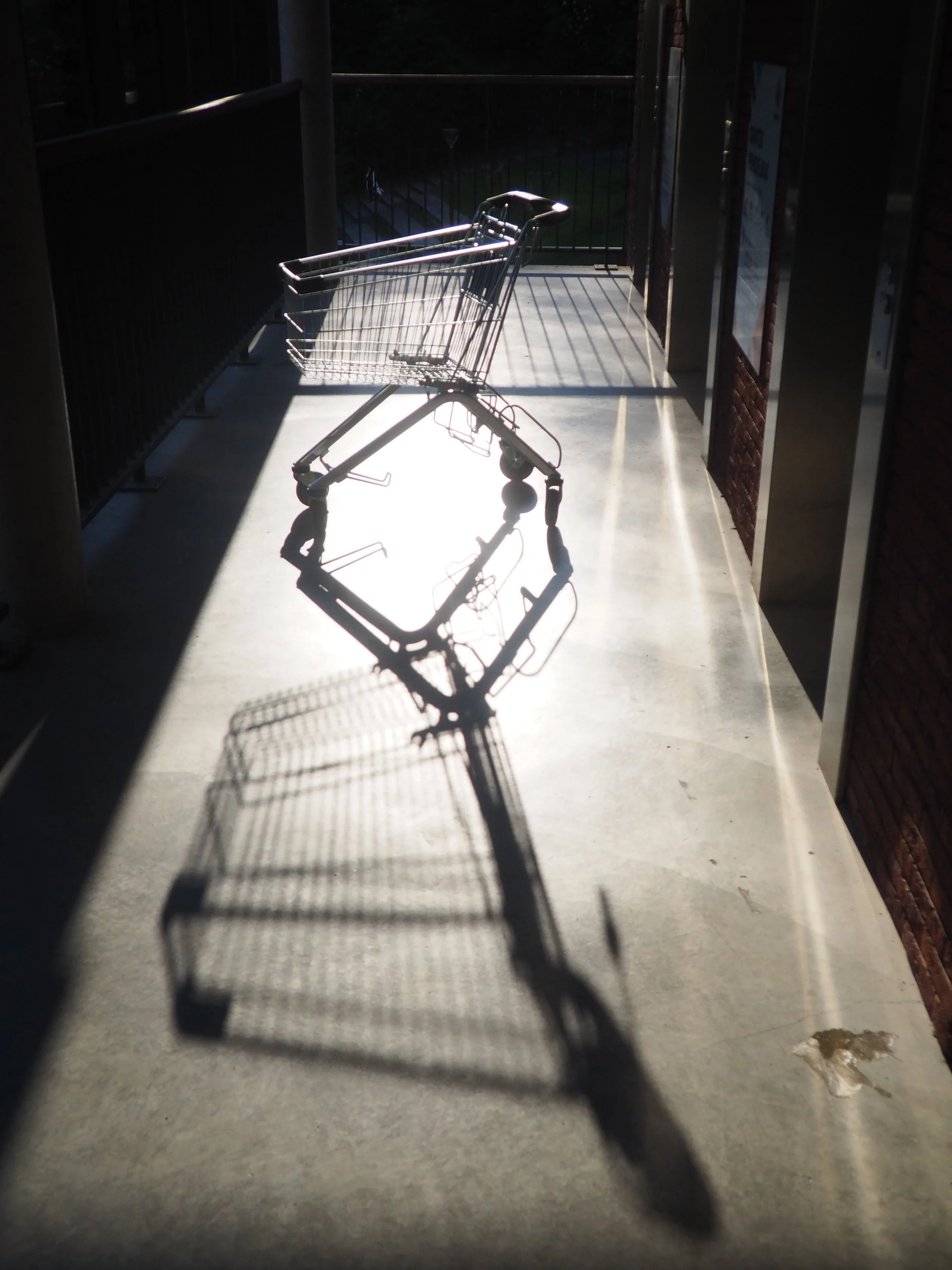 Nathalie Panken-licht