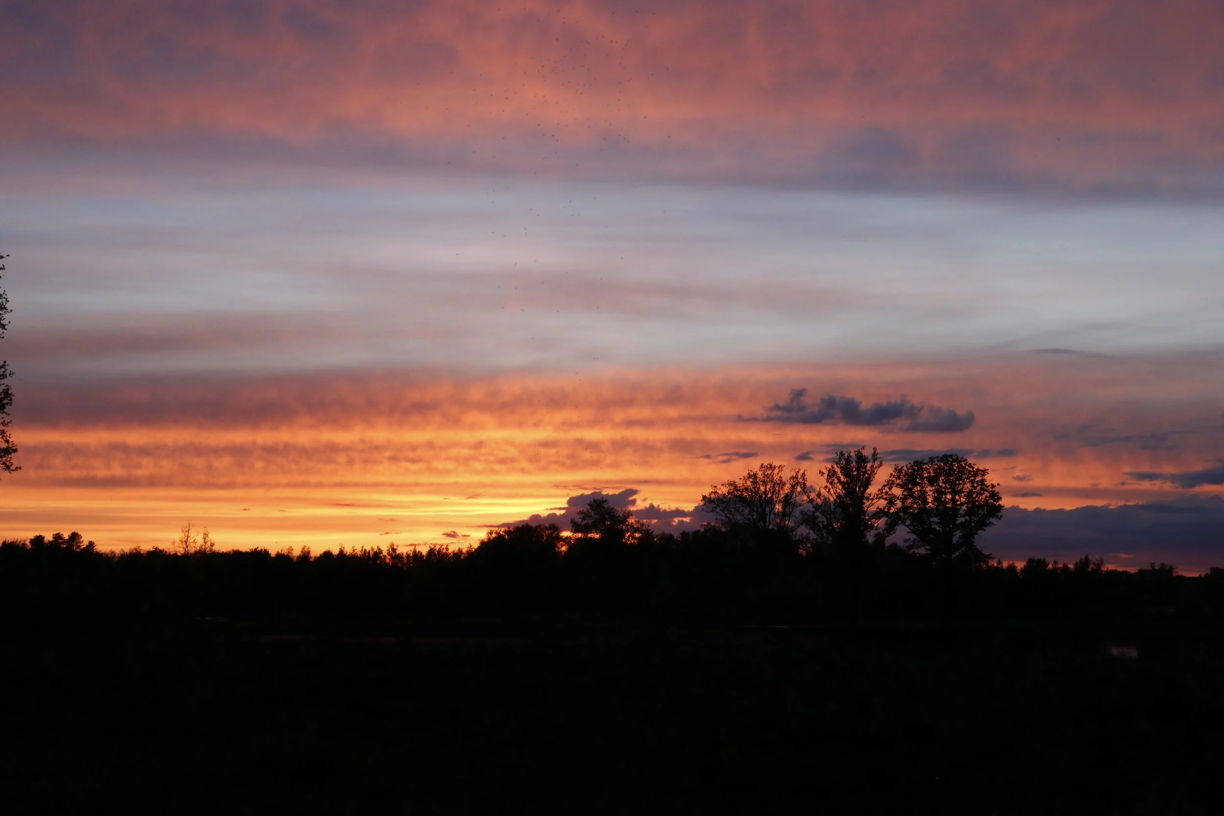 Nico Carels-landschap