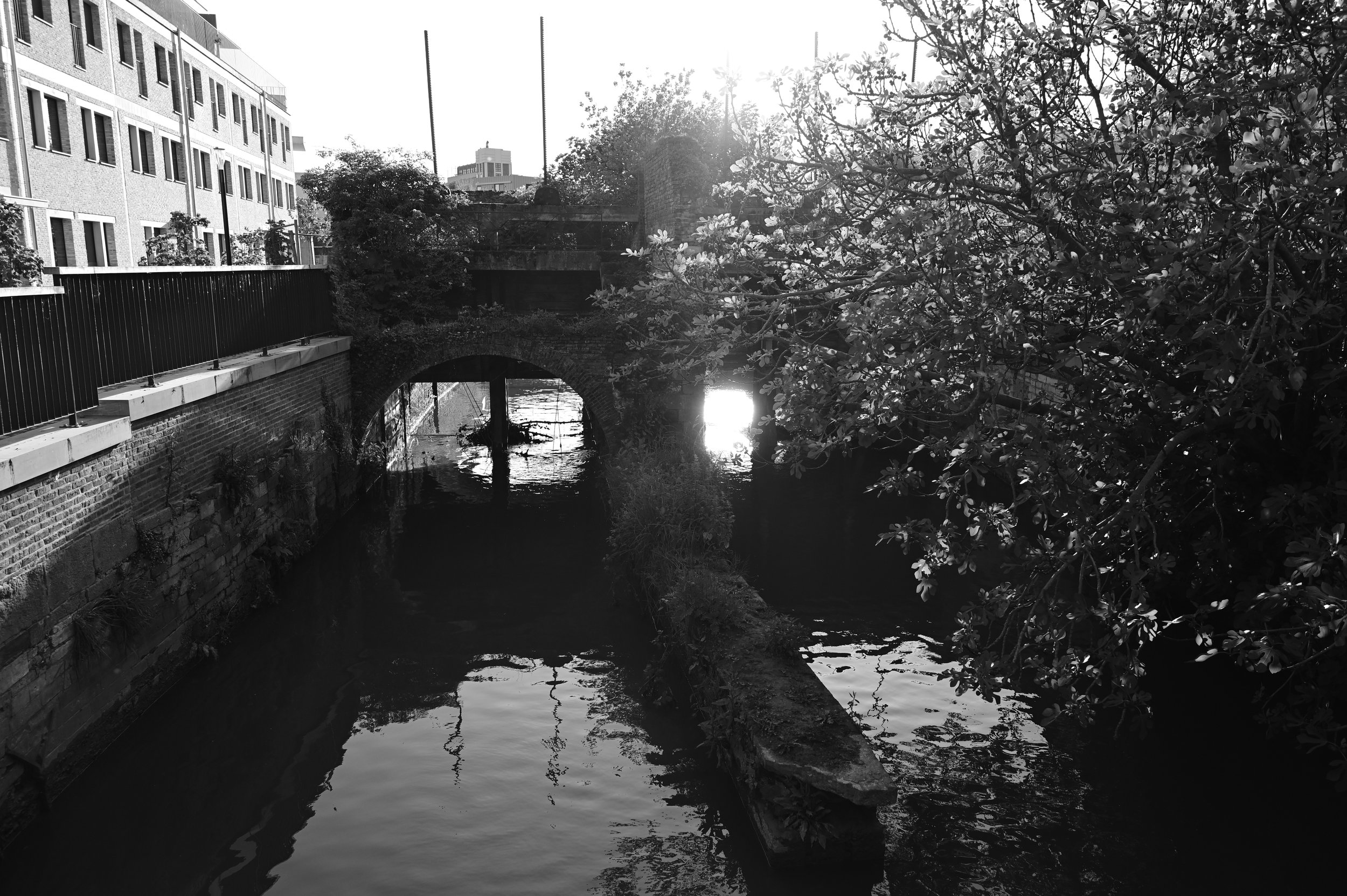 Tine Aerts-landschap