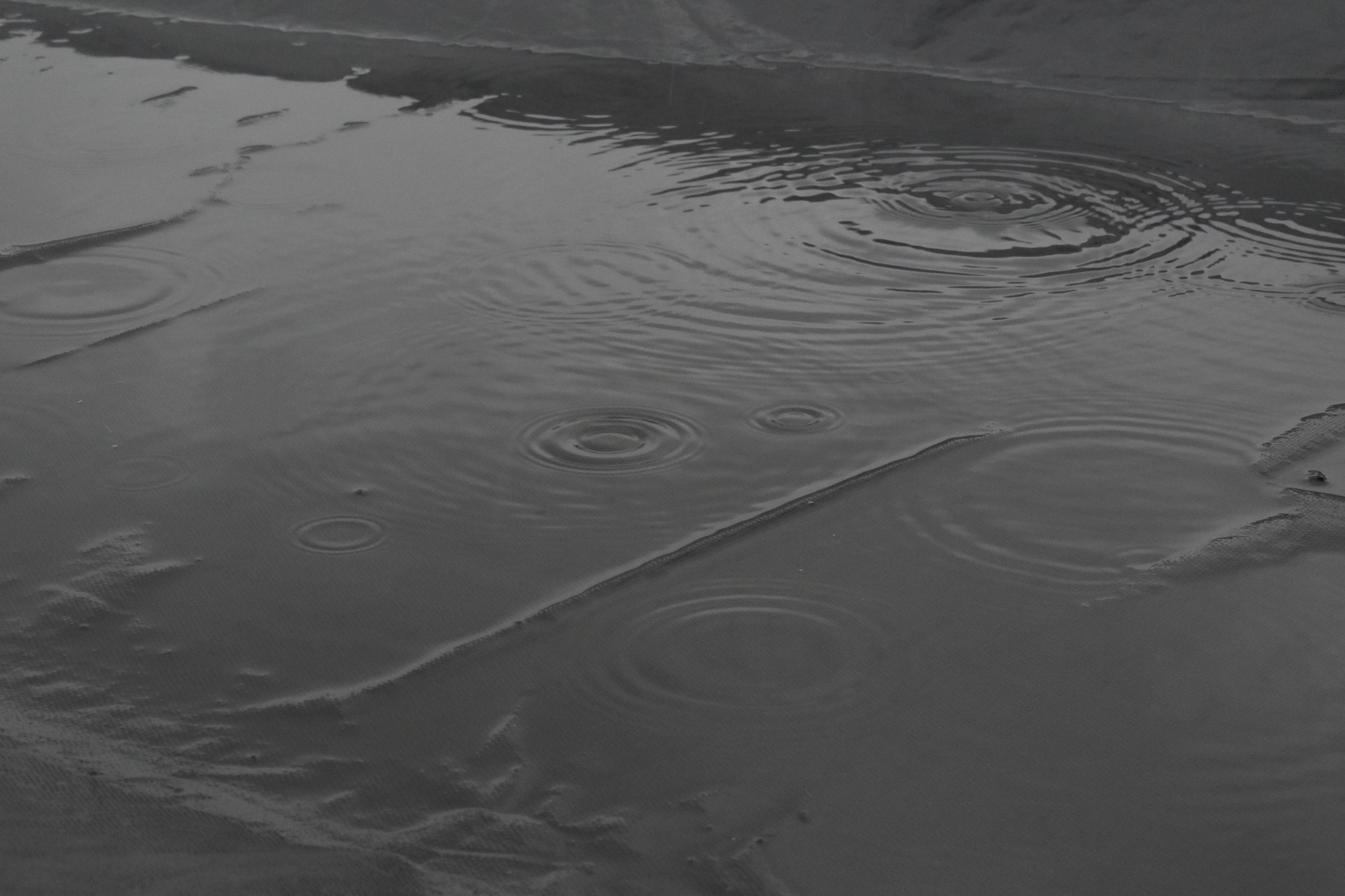 Laura Puttevils-ritme