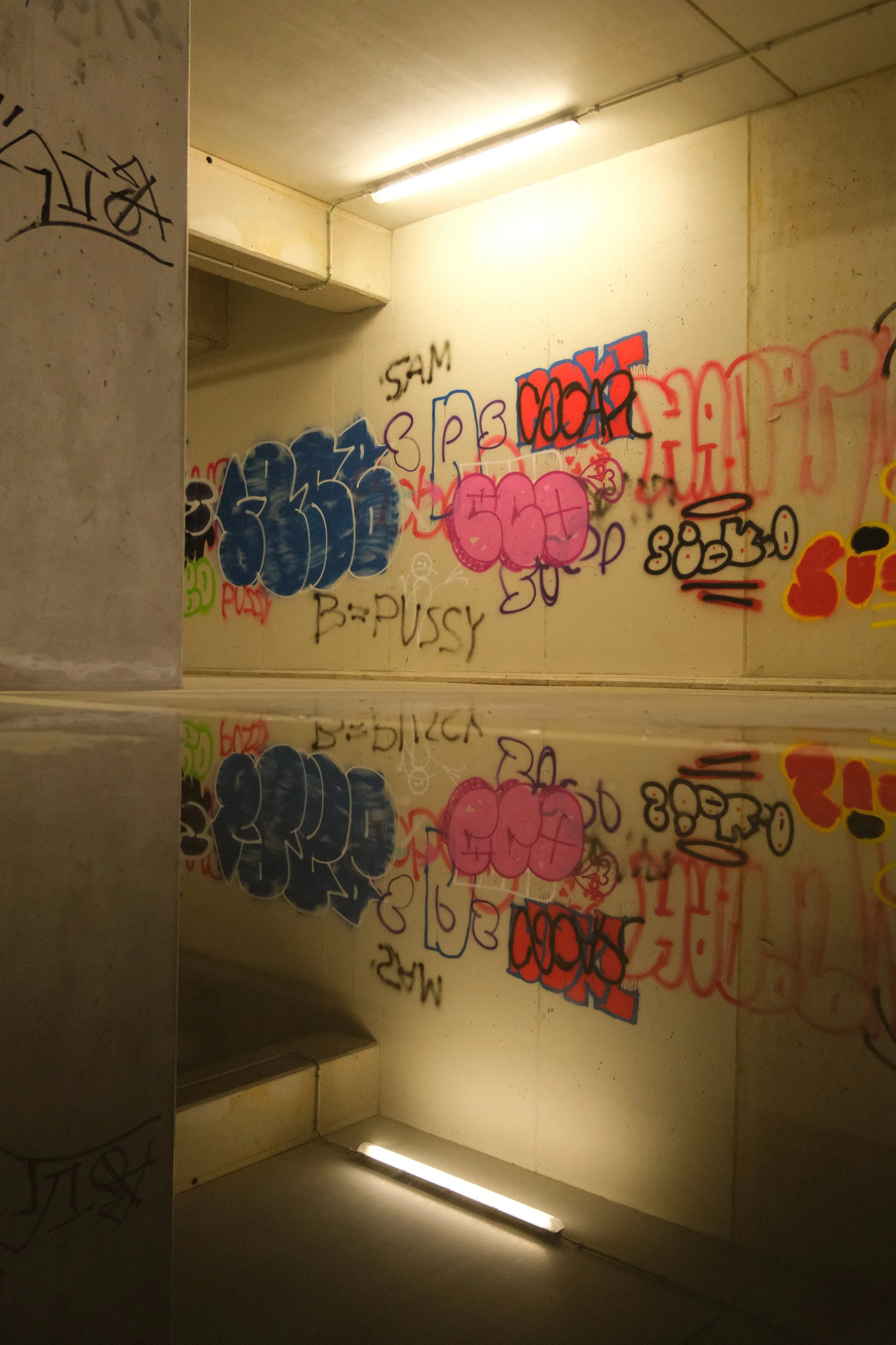 Shanna Peeters-licht