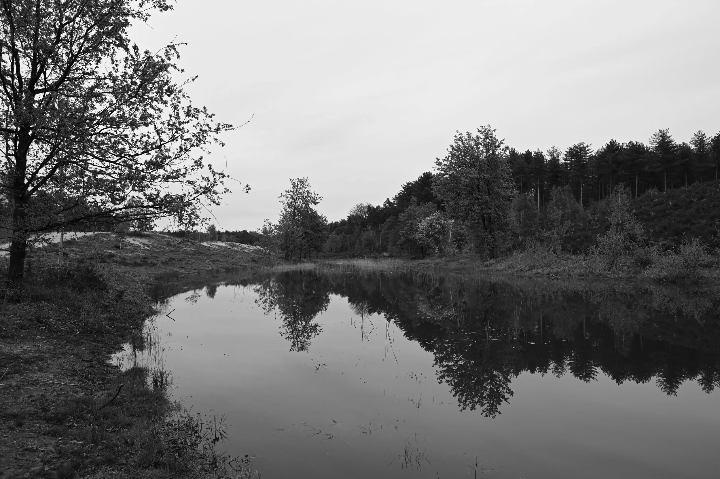 Tine Aerts-landschap