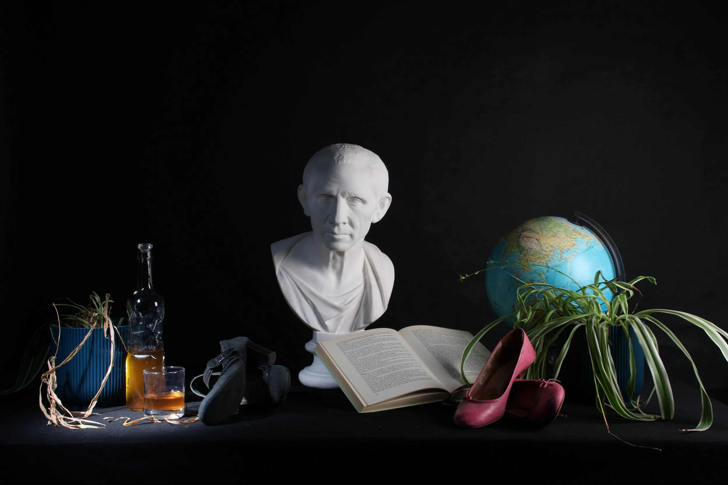 Manuela seldeslachts-Vanitas