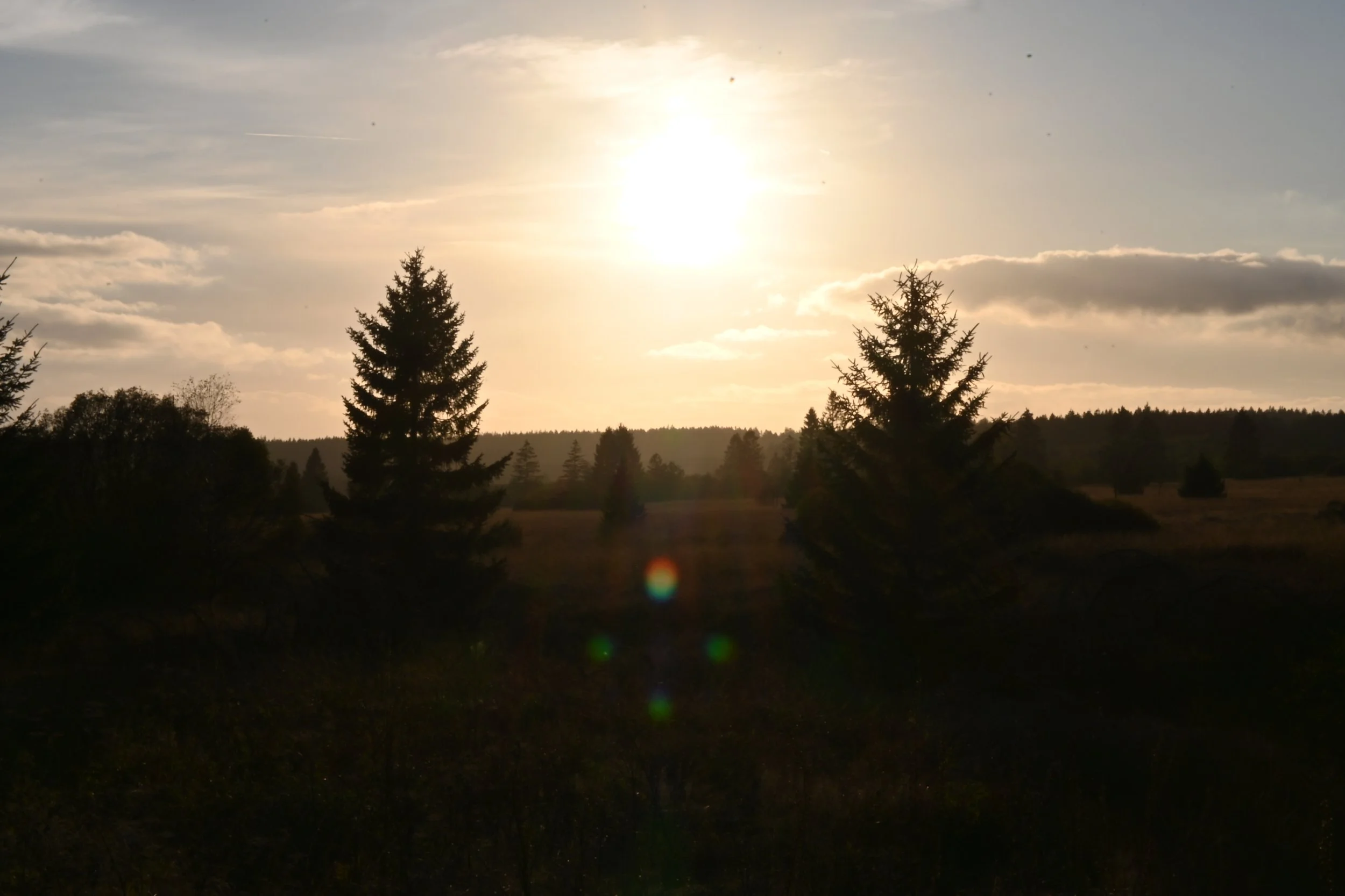 Léopold Van Dyck-Landschap
