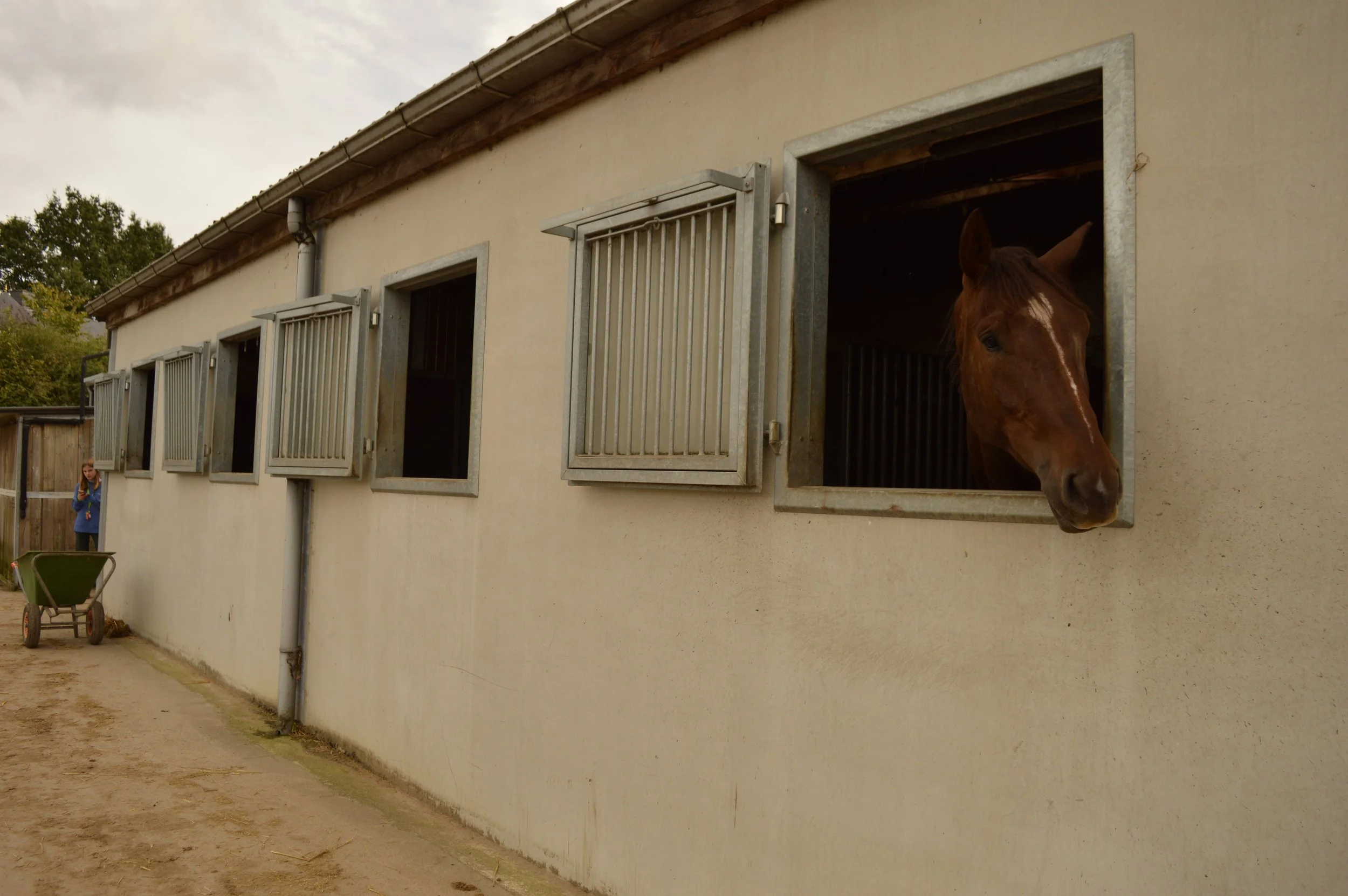 Joke Vanderlinden-Ritme