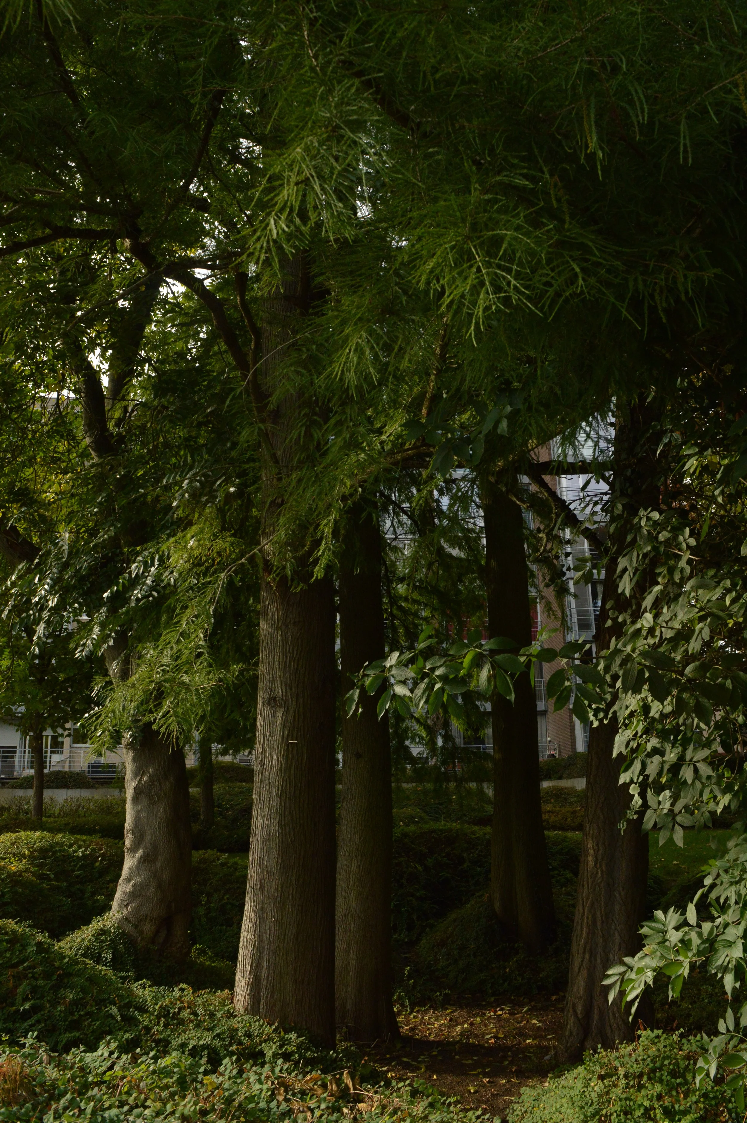 Joke Vanderlinden-Rimte 