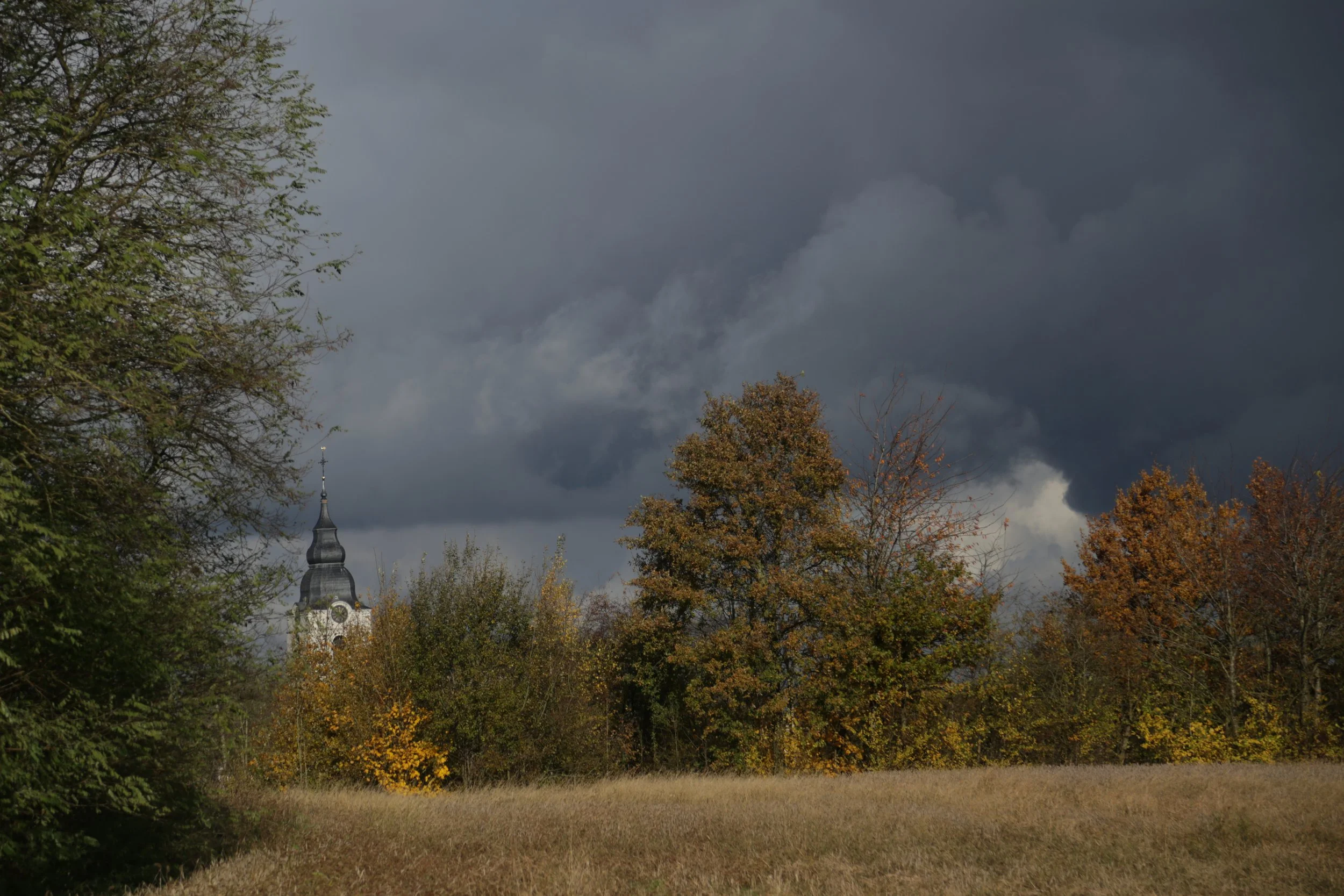 Jacinta Creten-Landschap