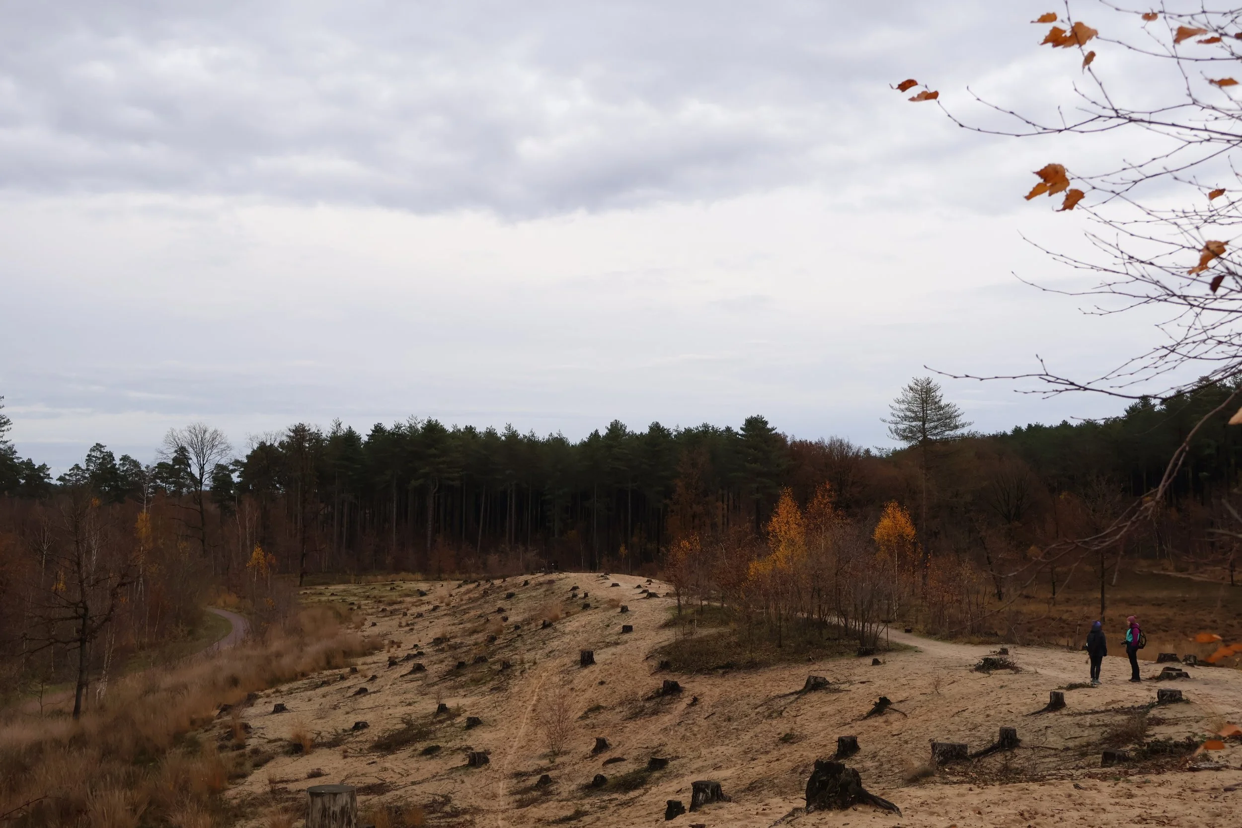Charlotte Herzeel-Landschap