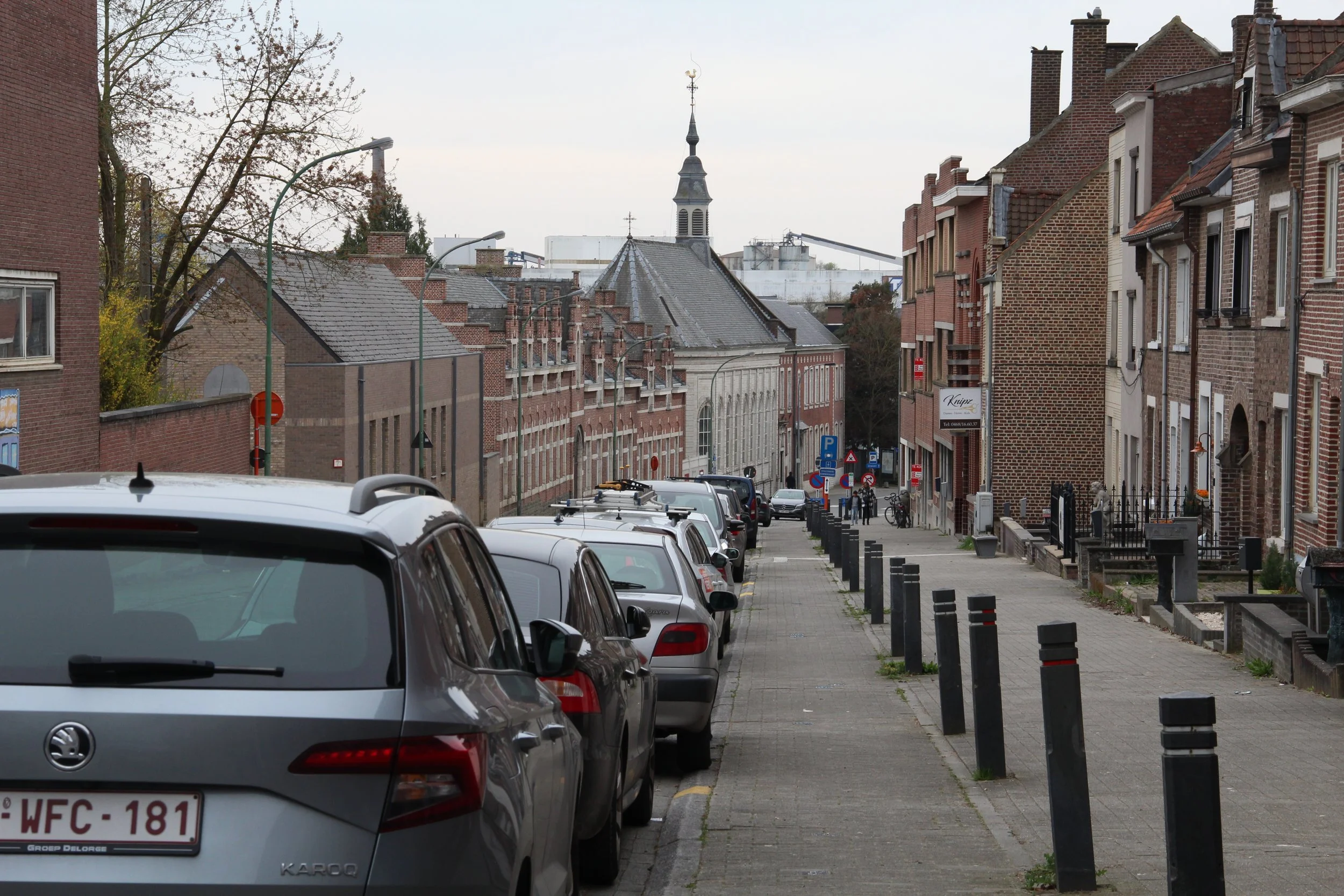 Anne Coenen-Landschap