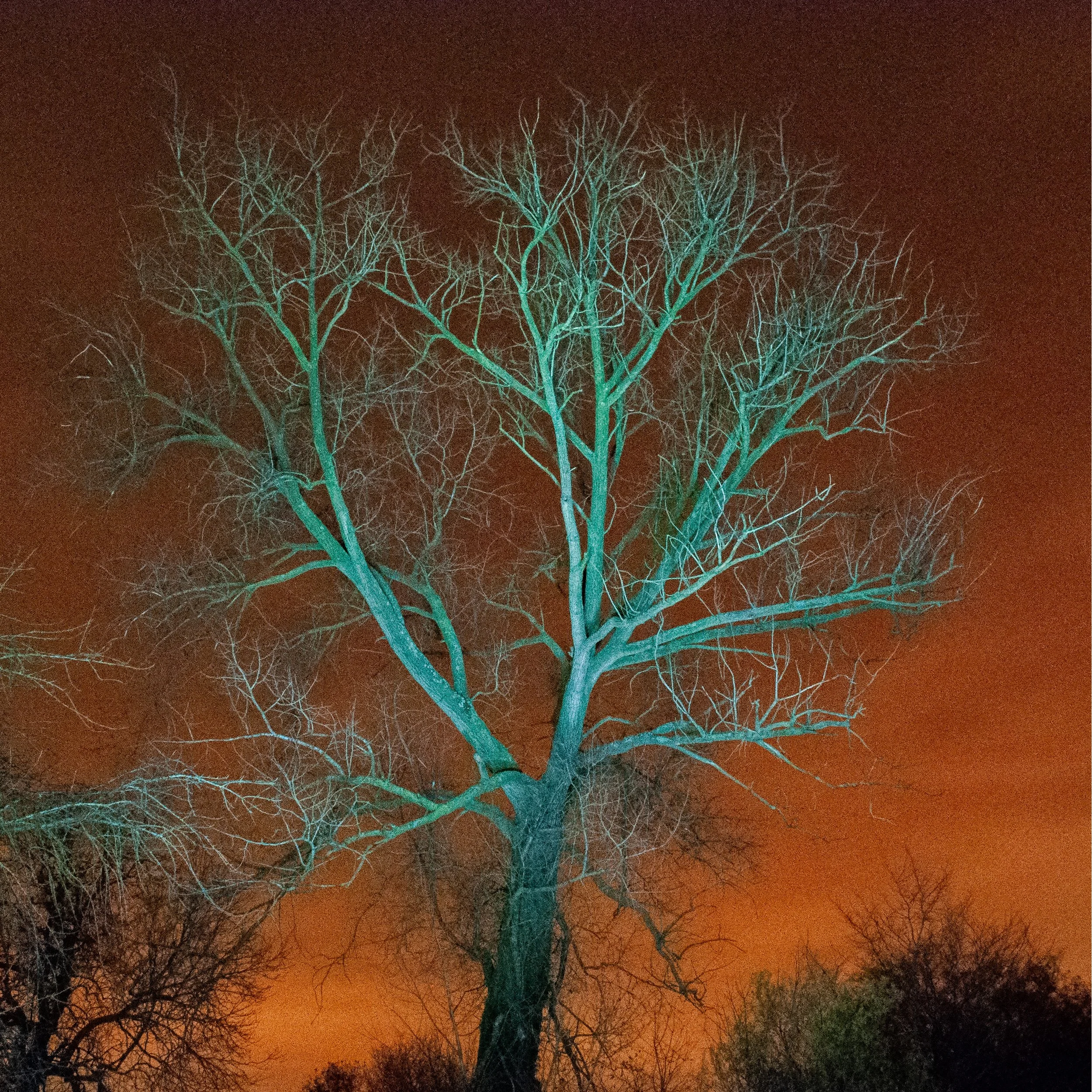 Peter De Ryck-Superlatief 