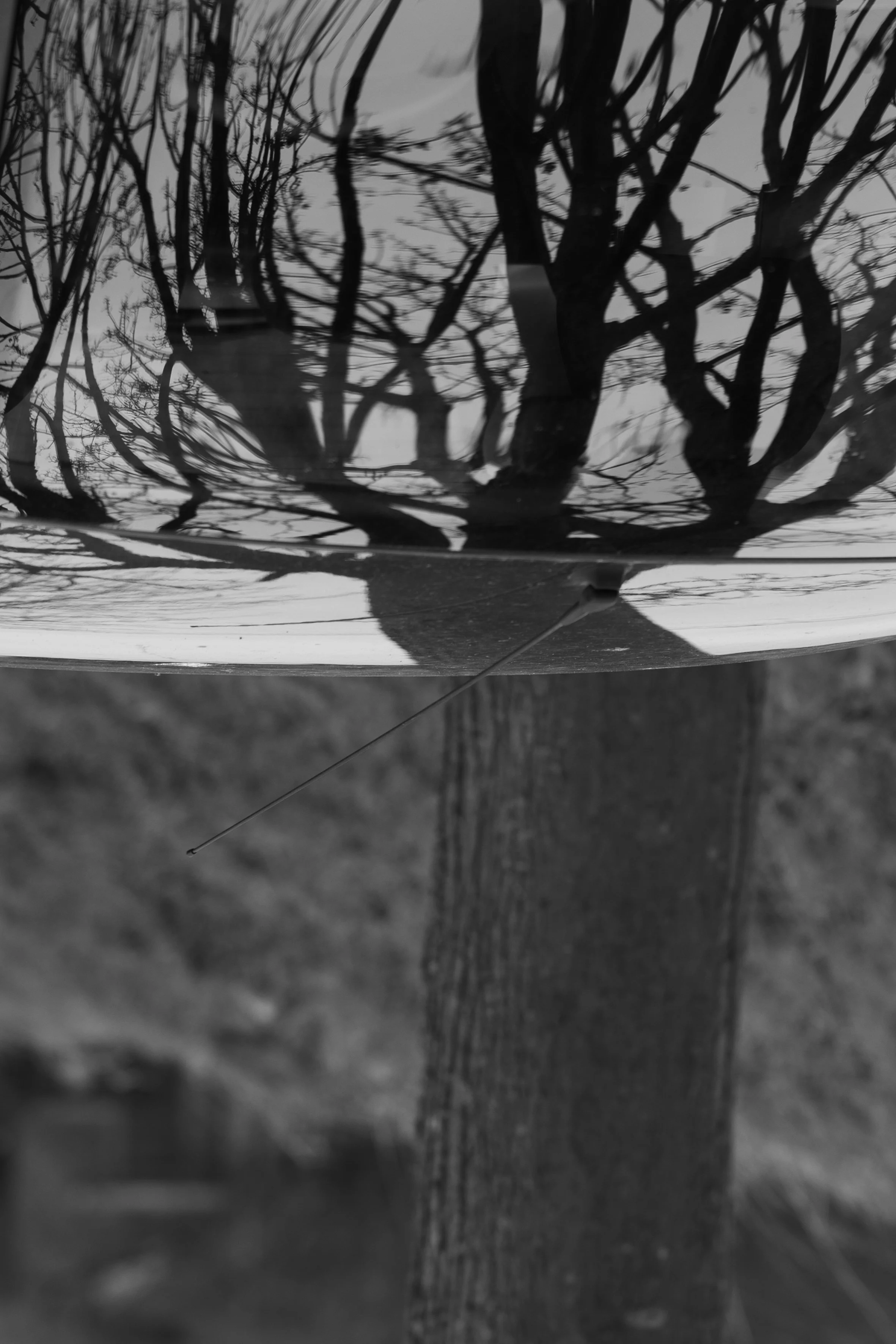 Sarah Graus-Reflectie