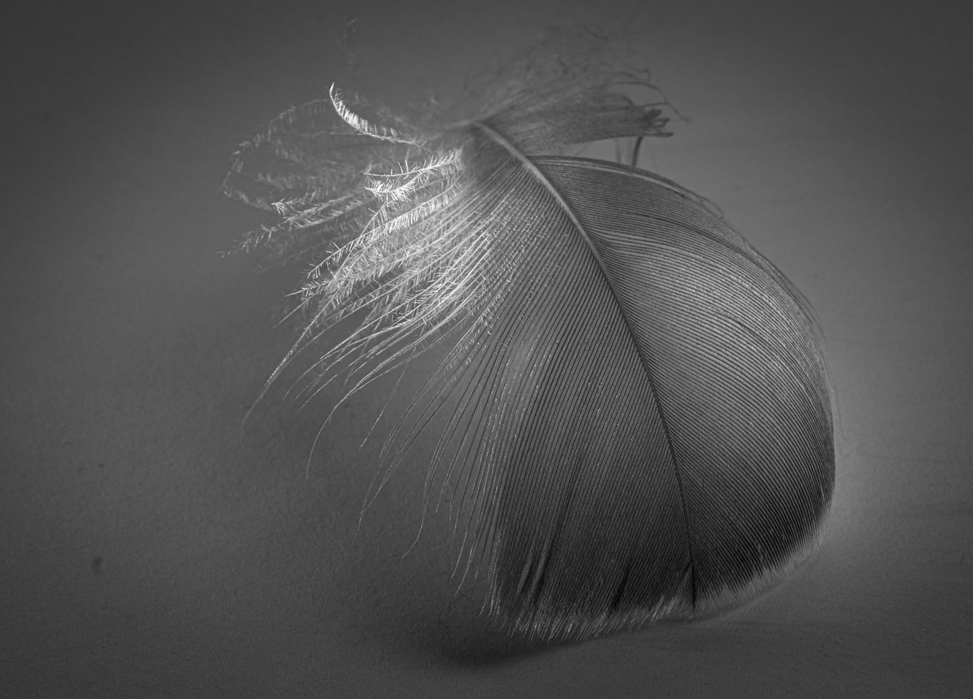 Hilde Lefebure-Textuur