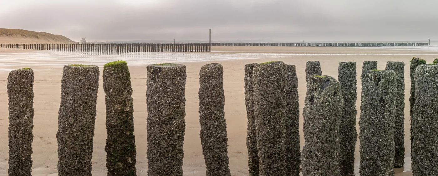 Roland Craps - Geometrische vormgeving en Panorama