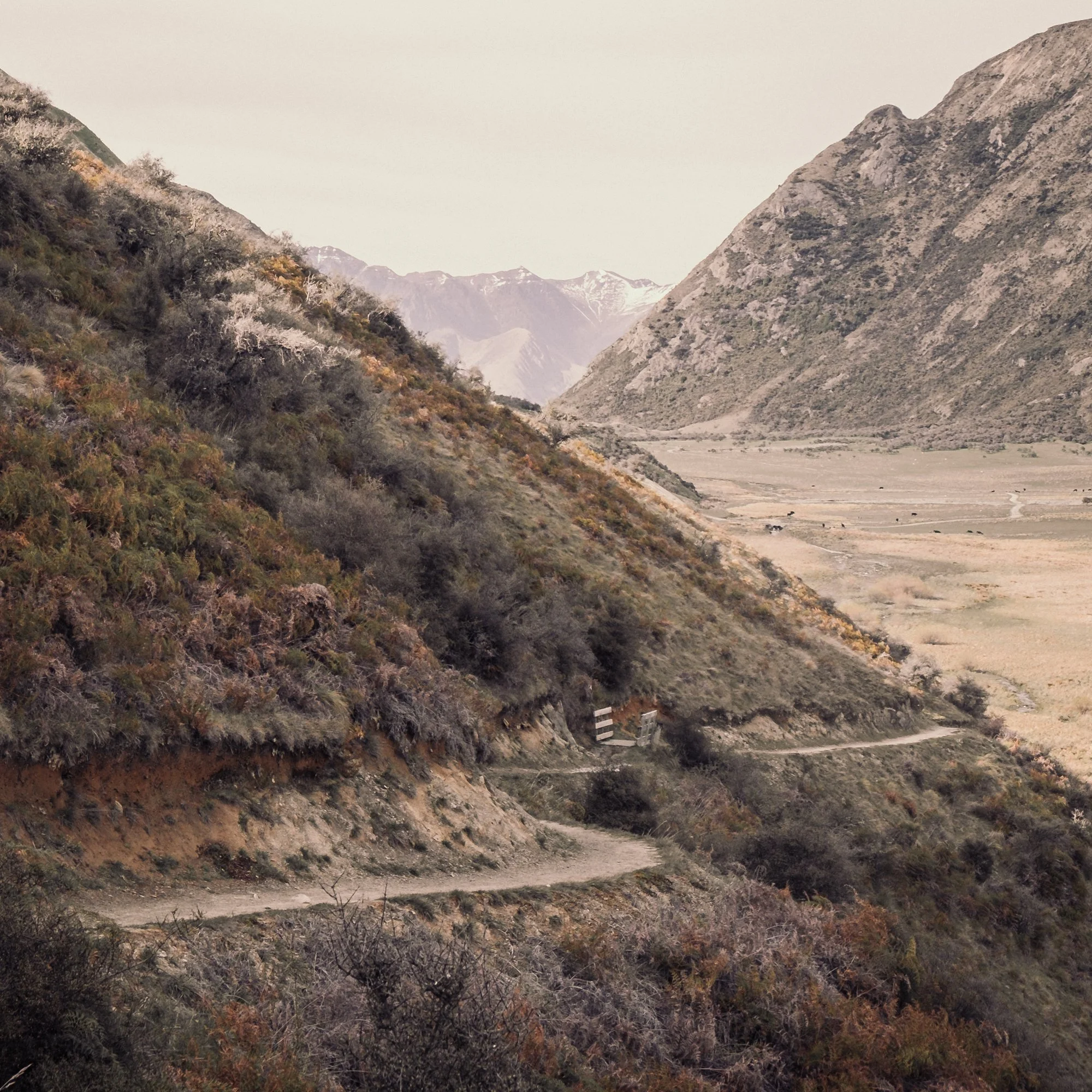 Gwennaelle Kusters-Driehoekscompositie