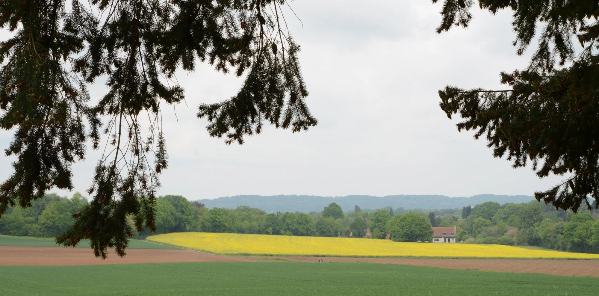 Steven Vols-Landschap
