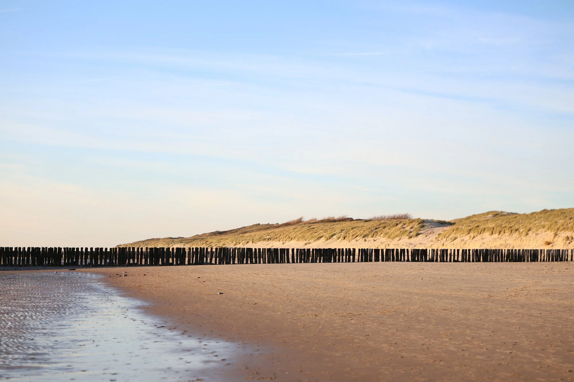 Stefanie Buyens-Landschap