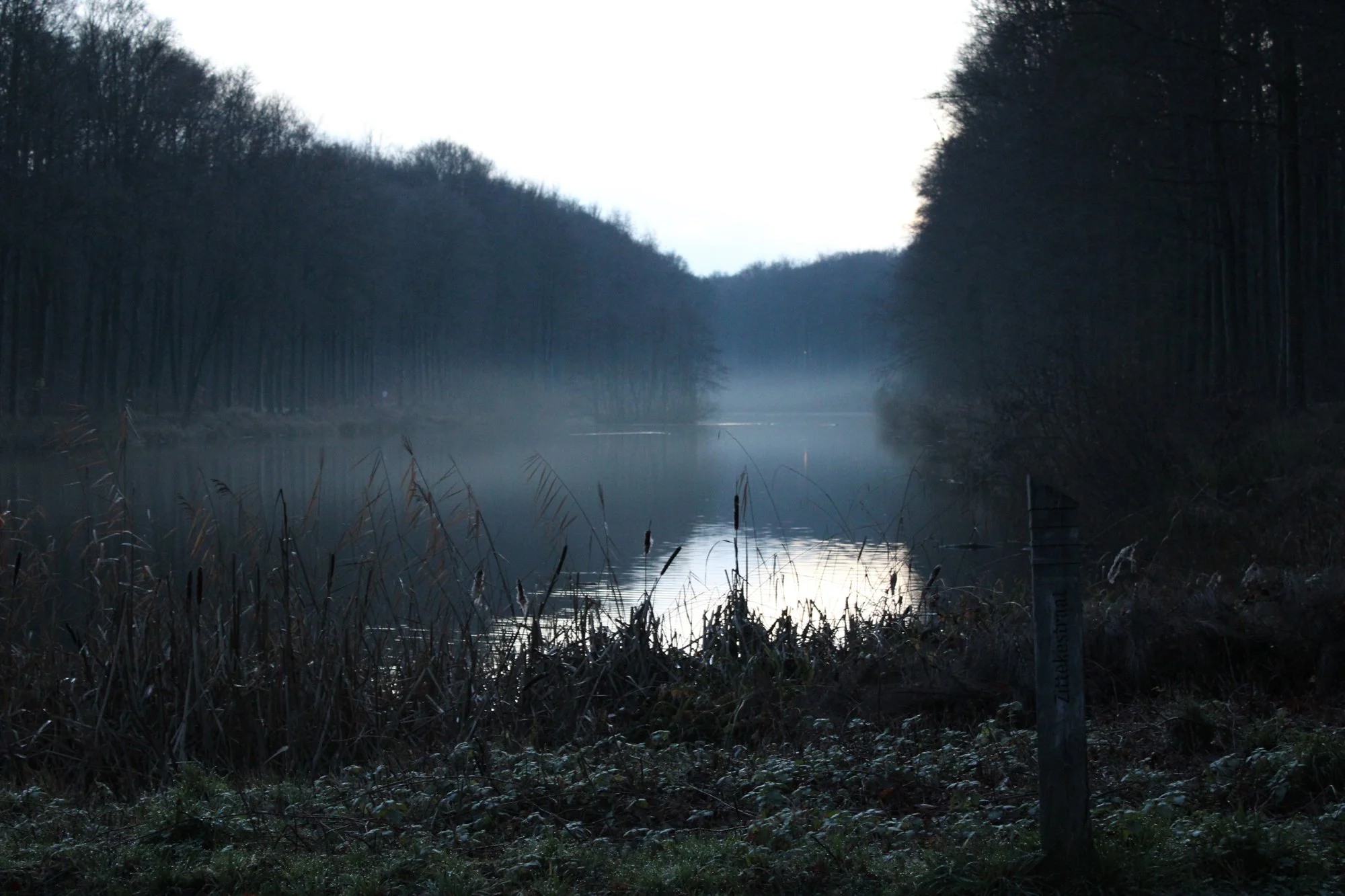Margot Appeltans-Landschap