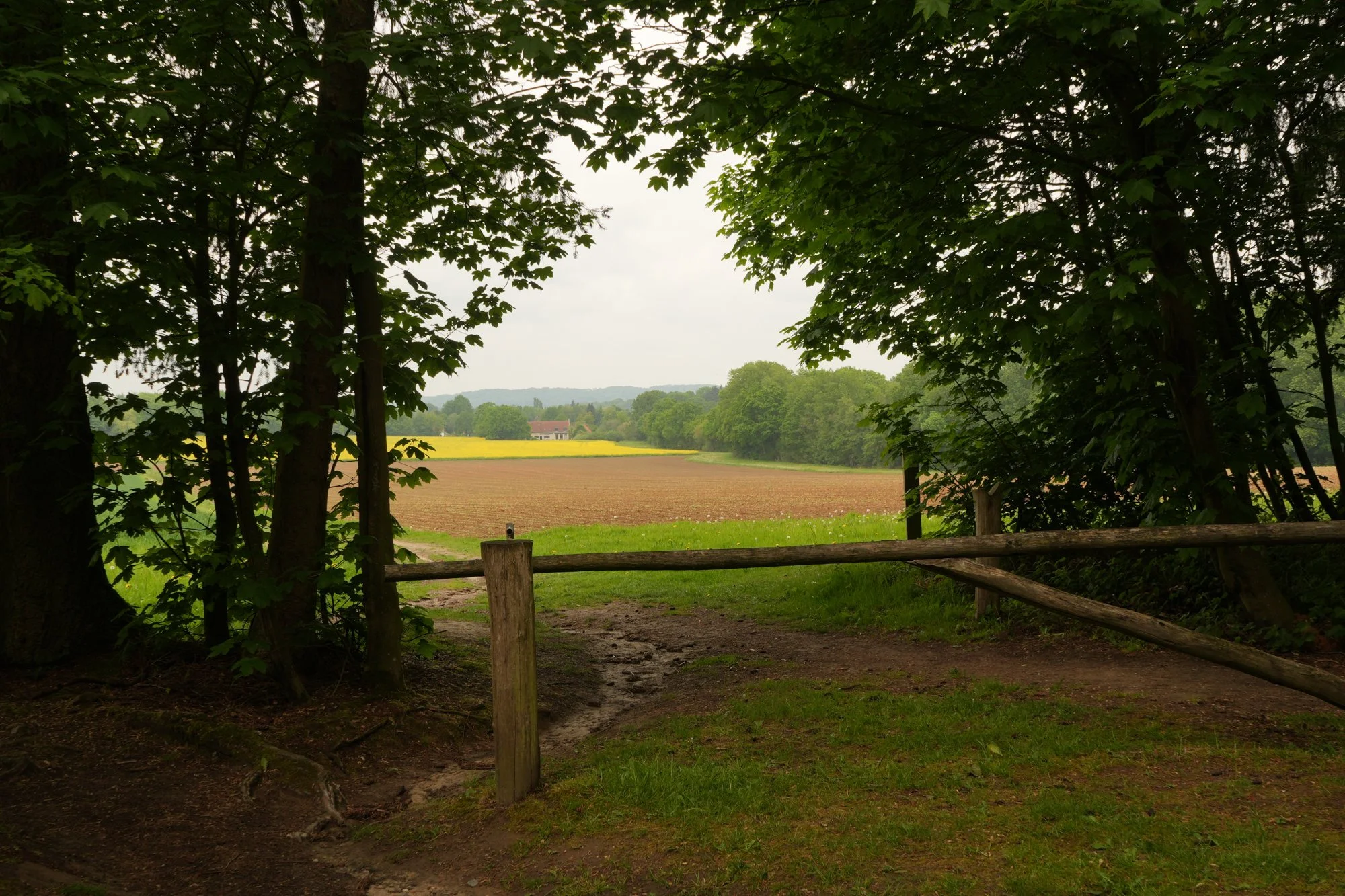 Jallo Elfriede-Landschap