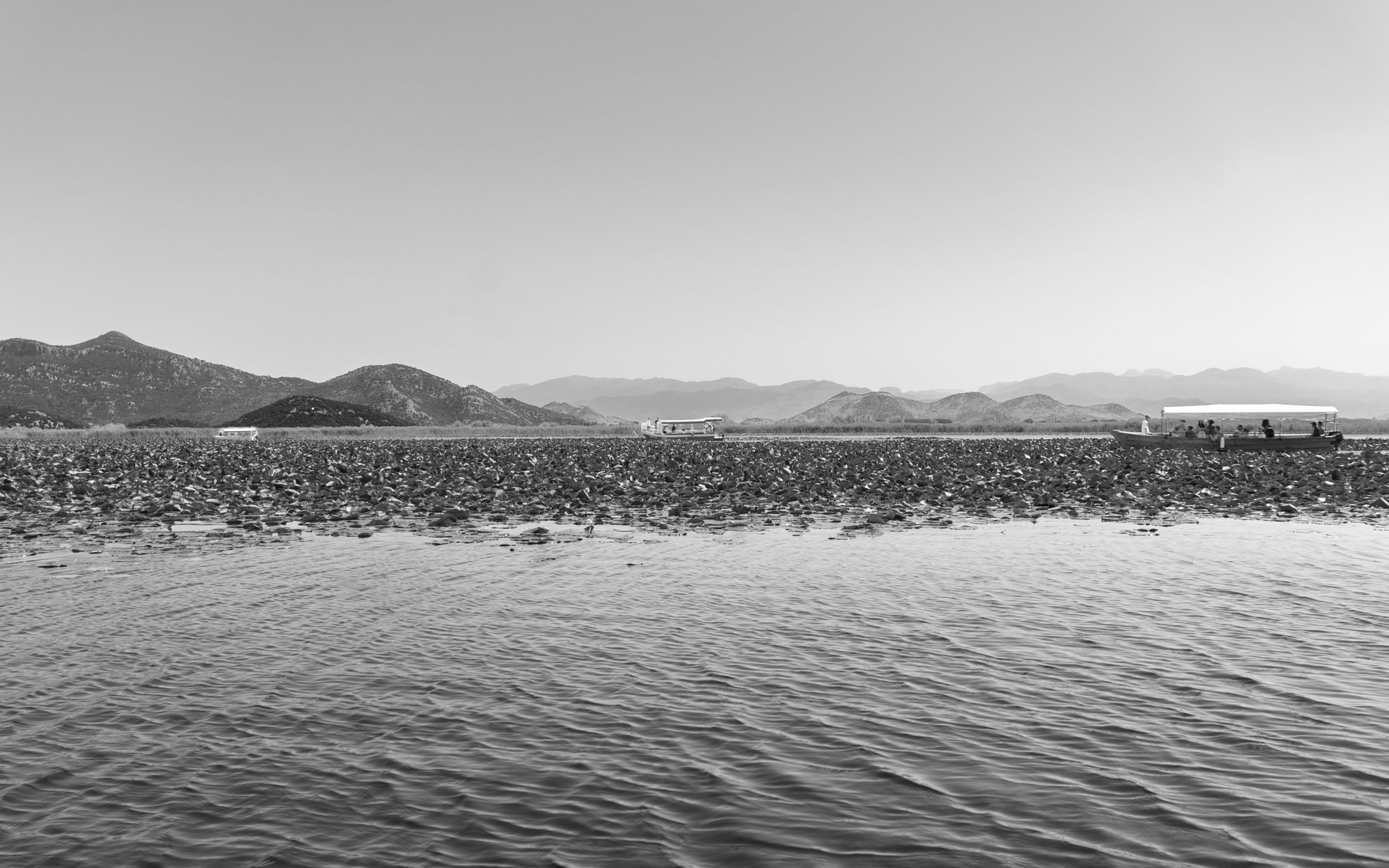 Sarah Grootjans-Landschap