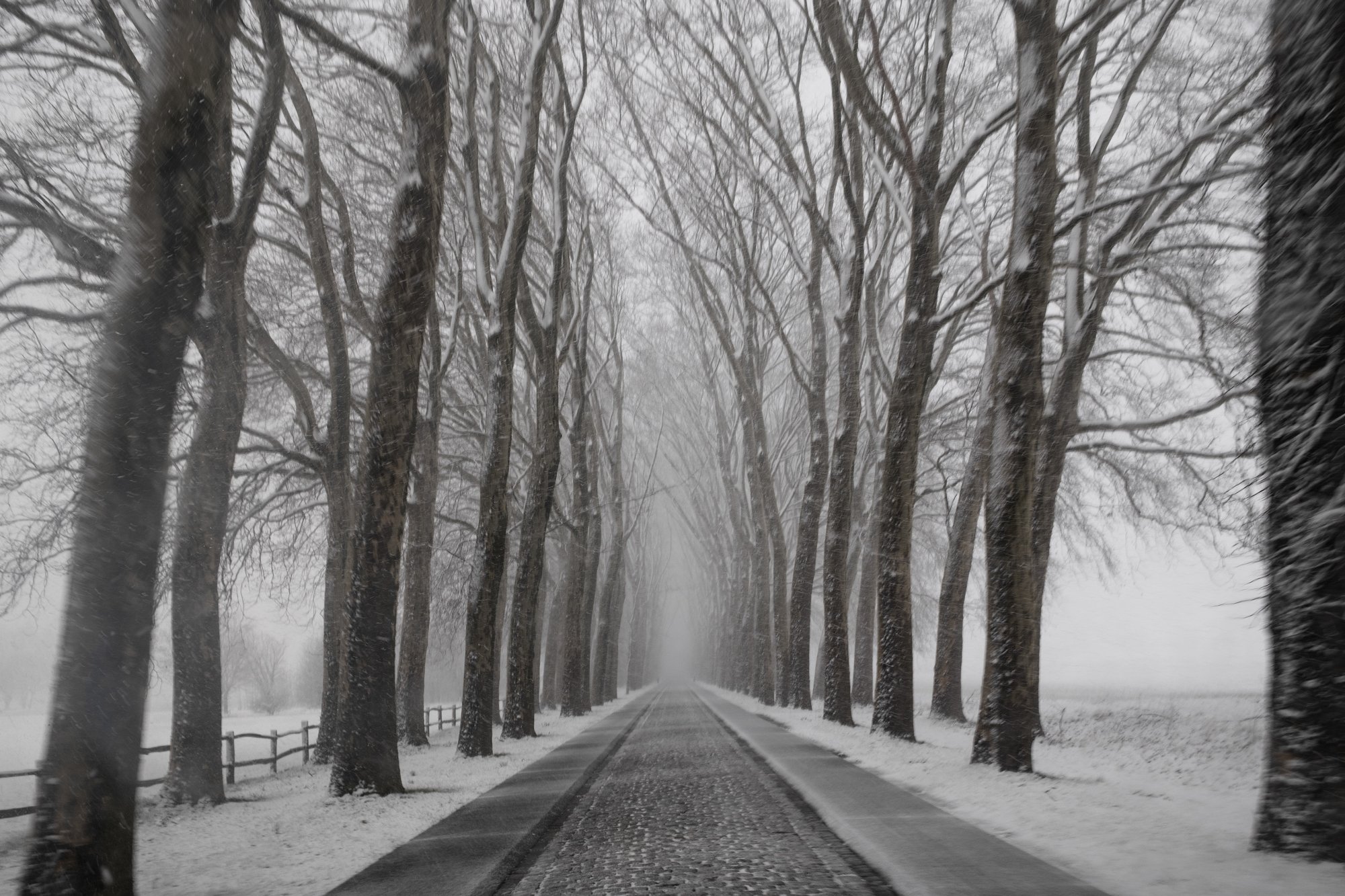 Jeffry Mostrey-Landschap