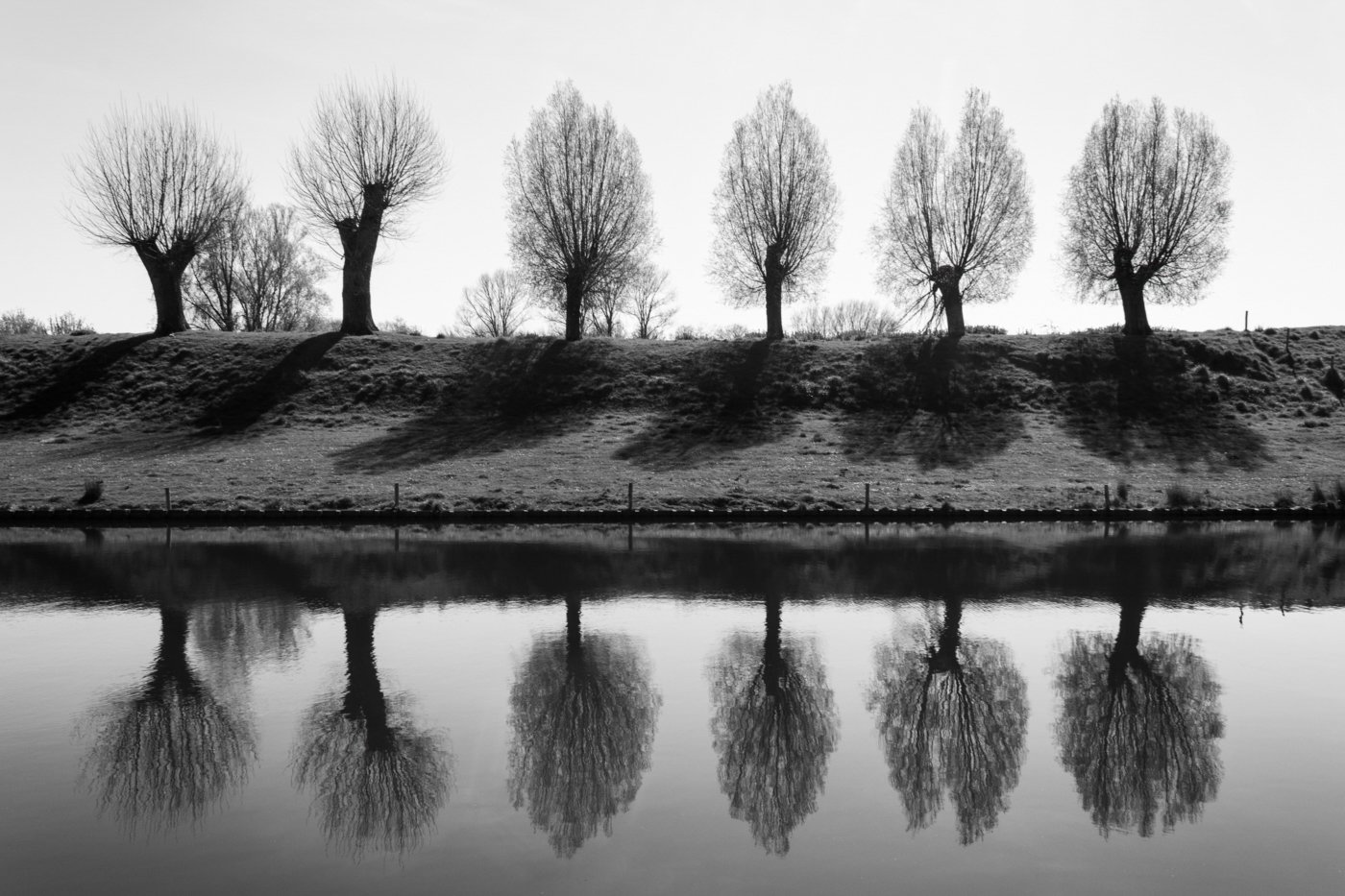 Heynen Kaat_Landschap