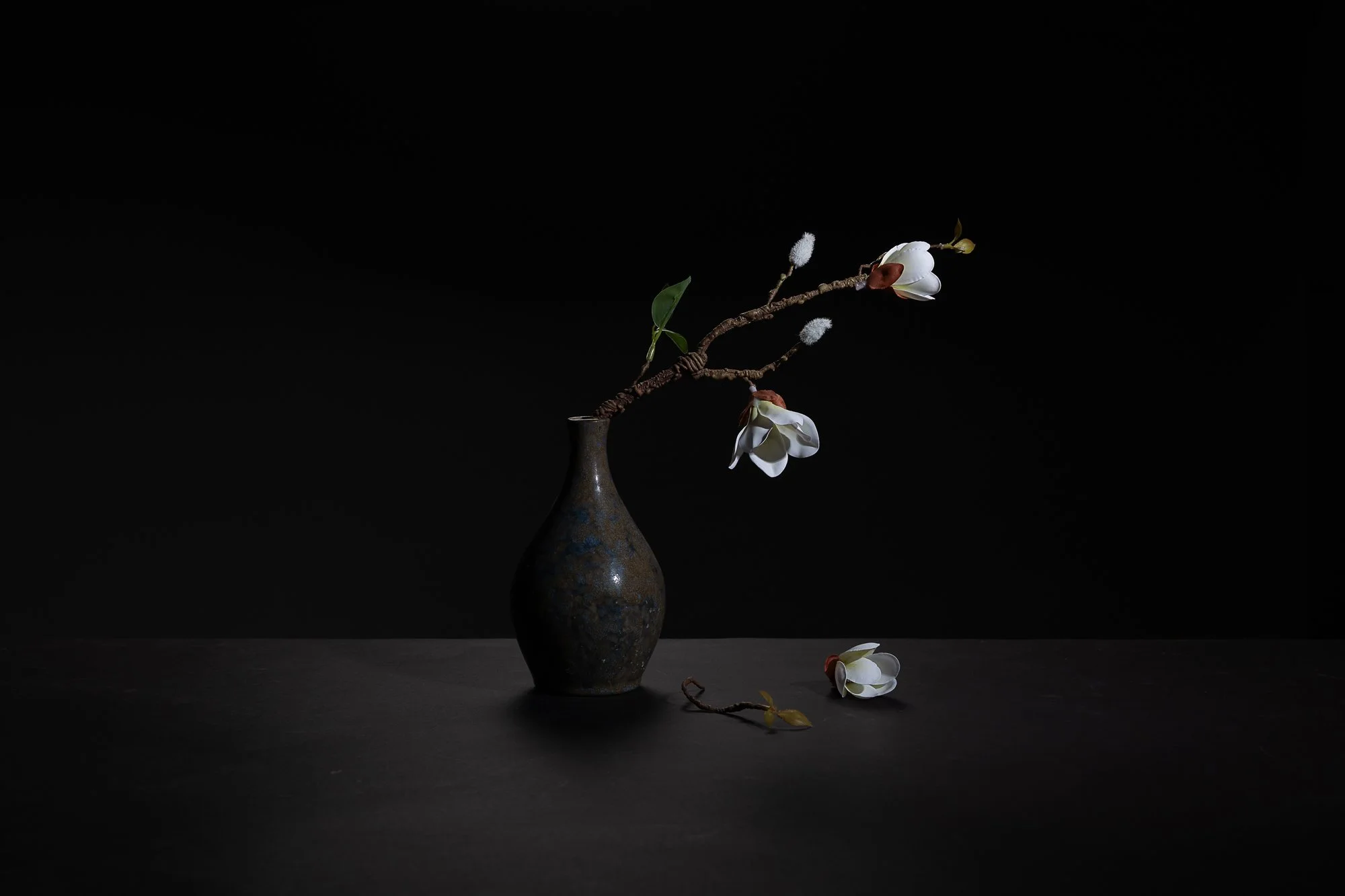 Ann Baggerman-Vanitas