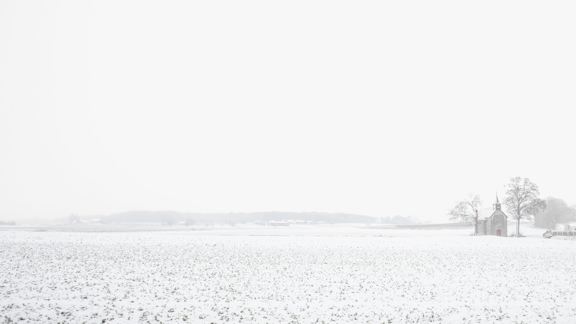 Veerle Vranckx-Narratieve reeks
